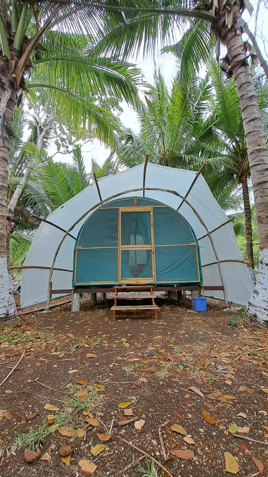 WhatsApp Image 2023-10-29 at 1.34.38 PM (1).jpeg