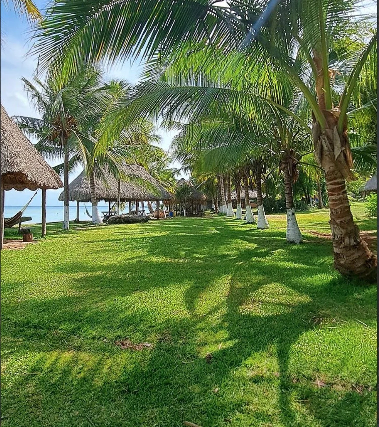 Image 29-10-23 at 17.14.jpeg