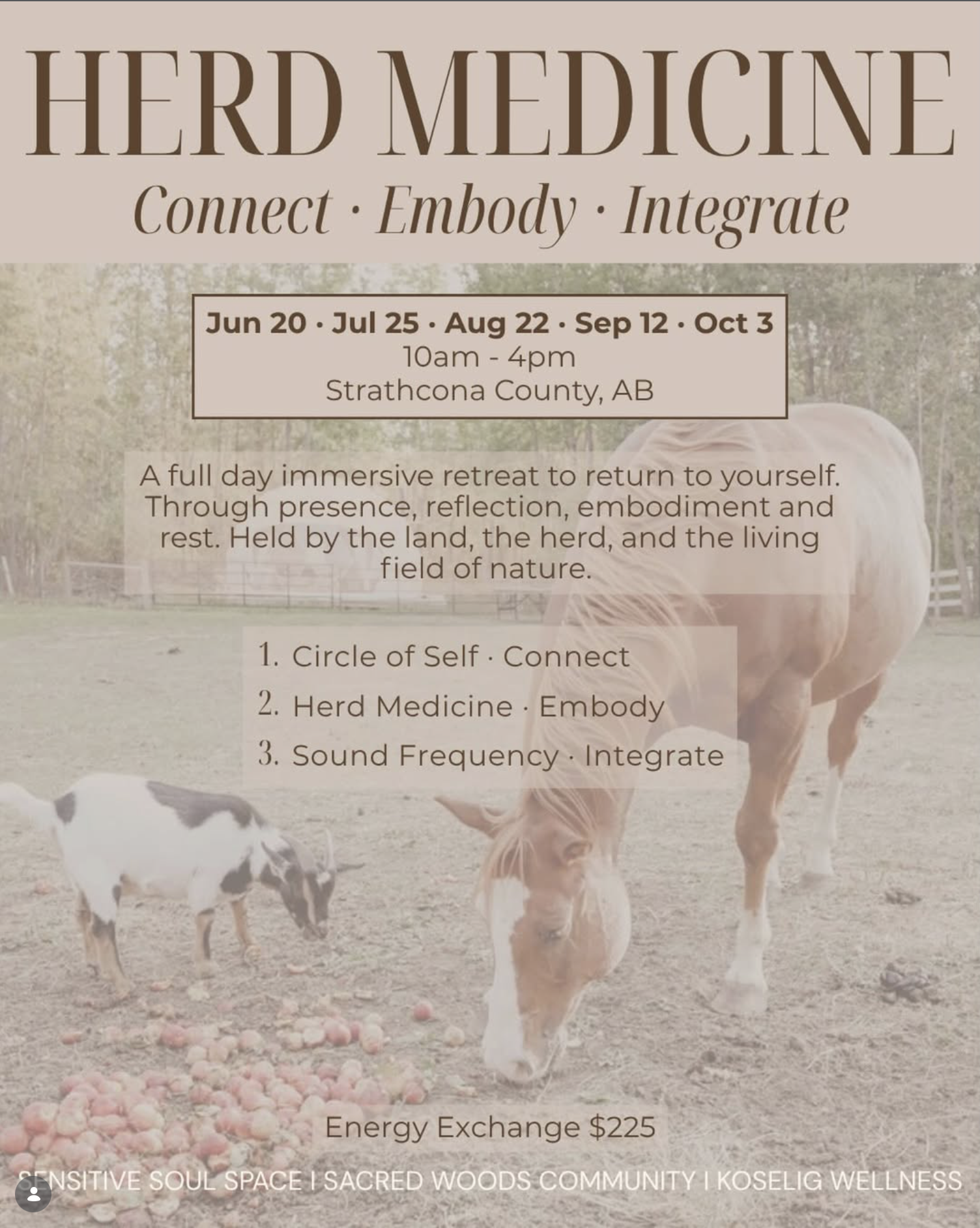 Wellness event offering in Edmonton, St. Albert, Sherwood Park, Strathcona County and area. This offering includes the medicine offered through animal connection and care. This is located at the Sacred Woods Care Farm.