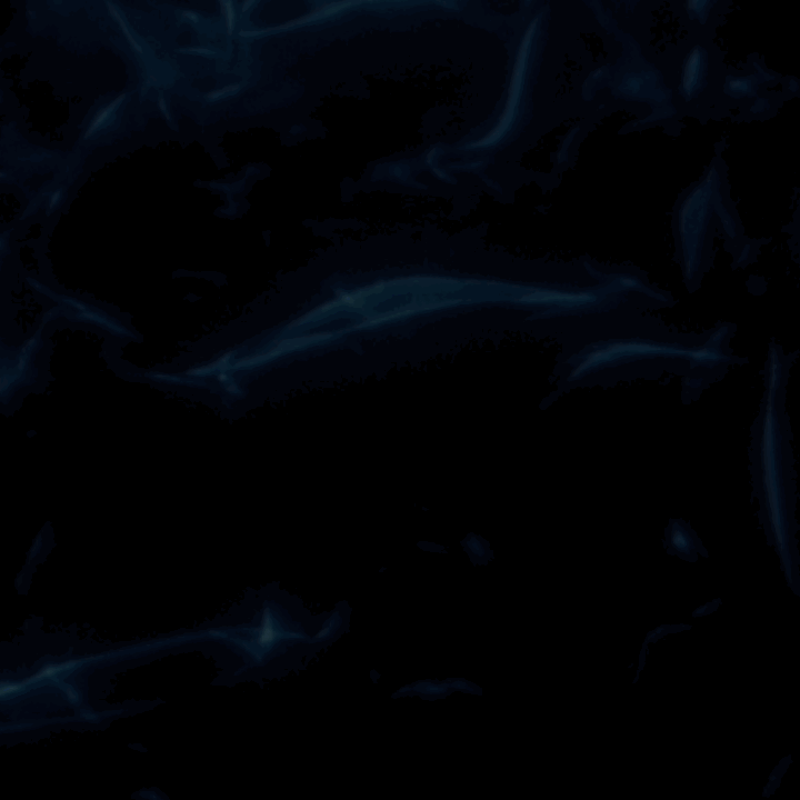 Motion