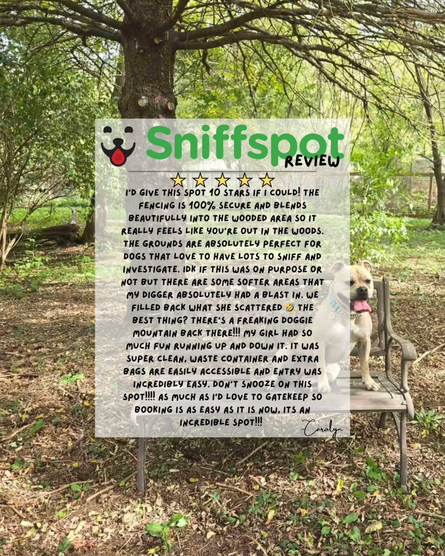 🎉 Our Sniffspot is officially a hit, and weekends are booking up fast! Thank you so much to everyone who has come and provided such wonderful feedback 🥰

Check out the spot here: https://www.sniffspot.com/to/ivZv8yvv

@sniffspots #sniffspot #enrich