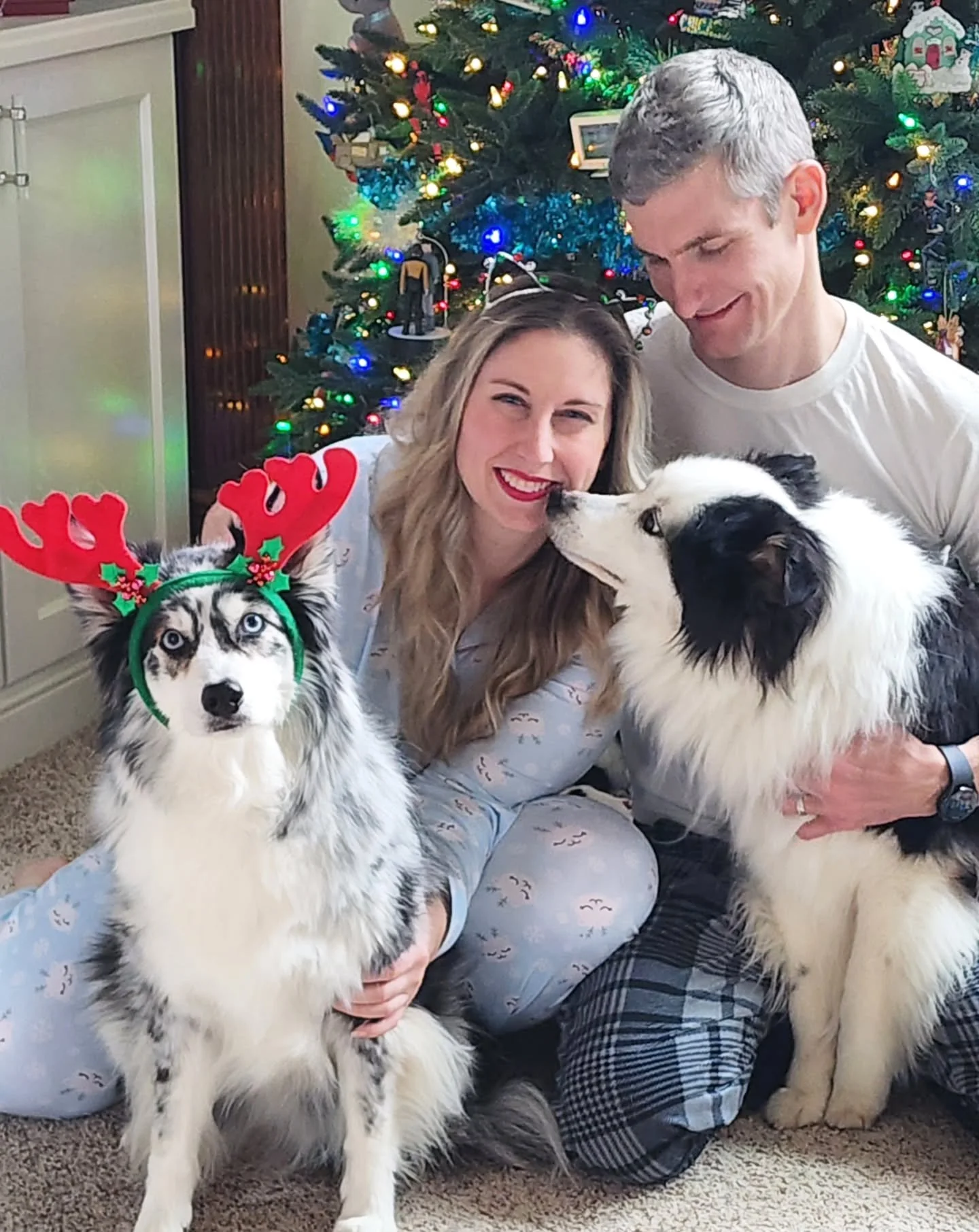 Merry Christmas from me, Brandon, River (11), and Scout (13.5) 🎄❤️ and of course our kitty friends too 😻

This season feels extra special. We&rsquo;re so incredibly blessed and grateful to have both of these sweet souls with us for another Christma