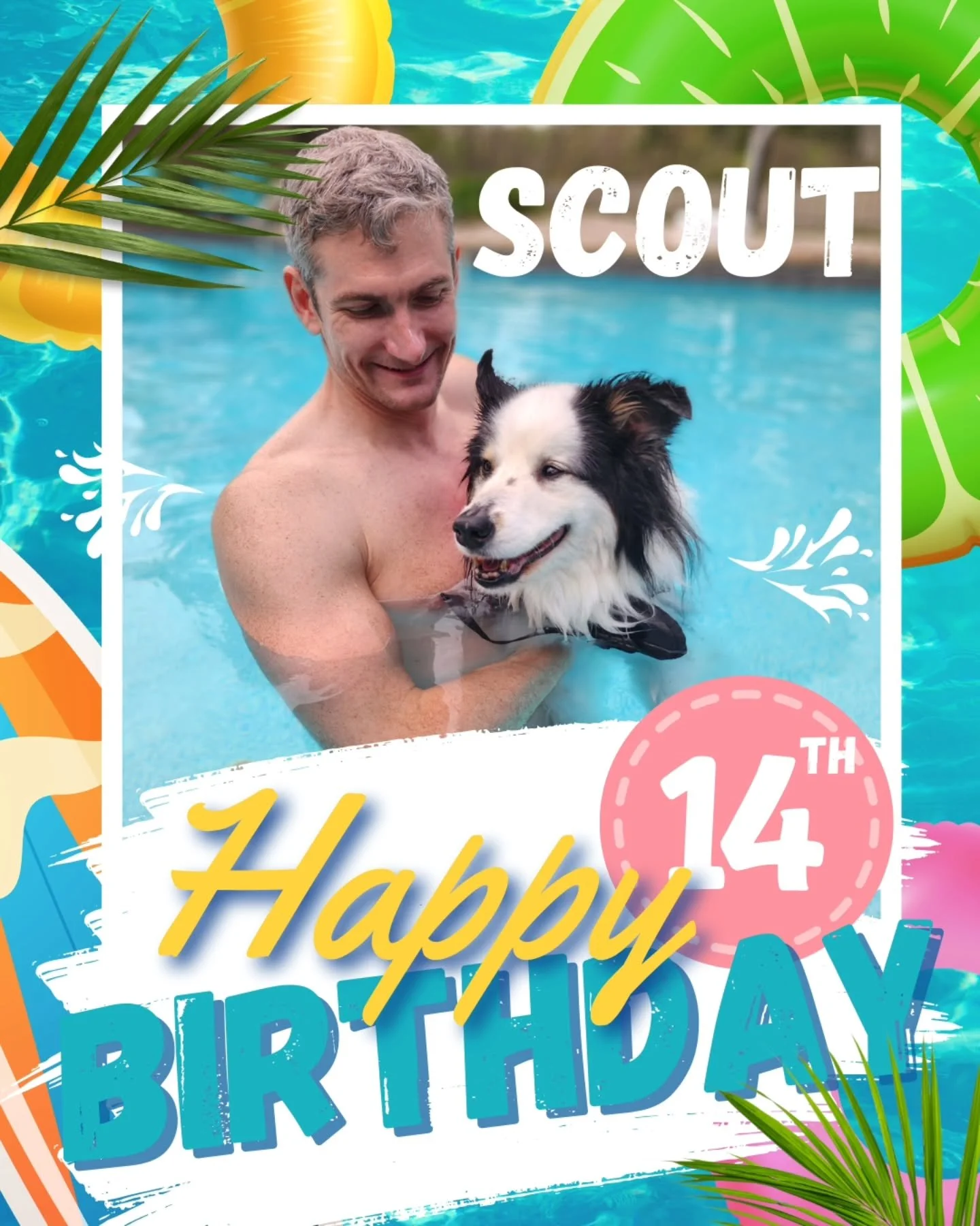 So happy the weather was perfect to take a little therapeutic dip in the pool today to celebrate our Scout's 14th Birthday! 🎂🐾🎈

Special shout-out to Scout's vet, Dr. Tartoff at The Whole Pet, who helped get us here today after Scout tore his ACL 
