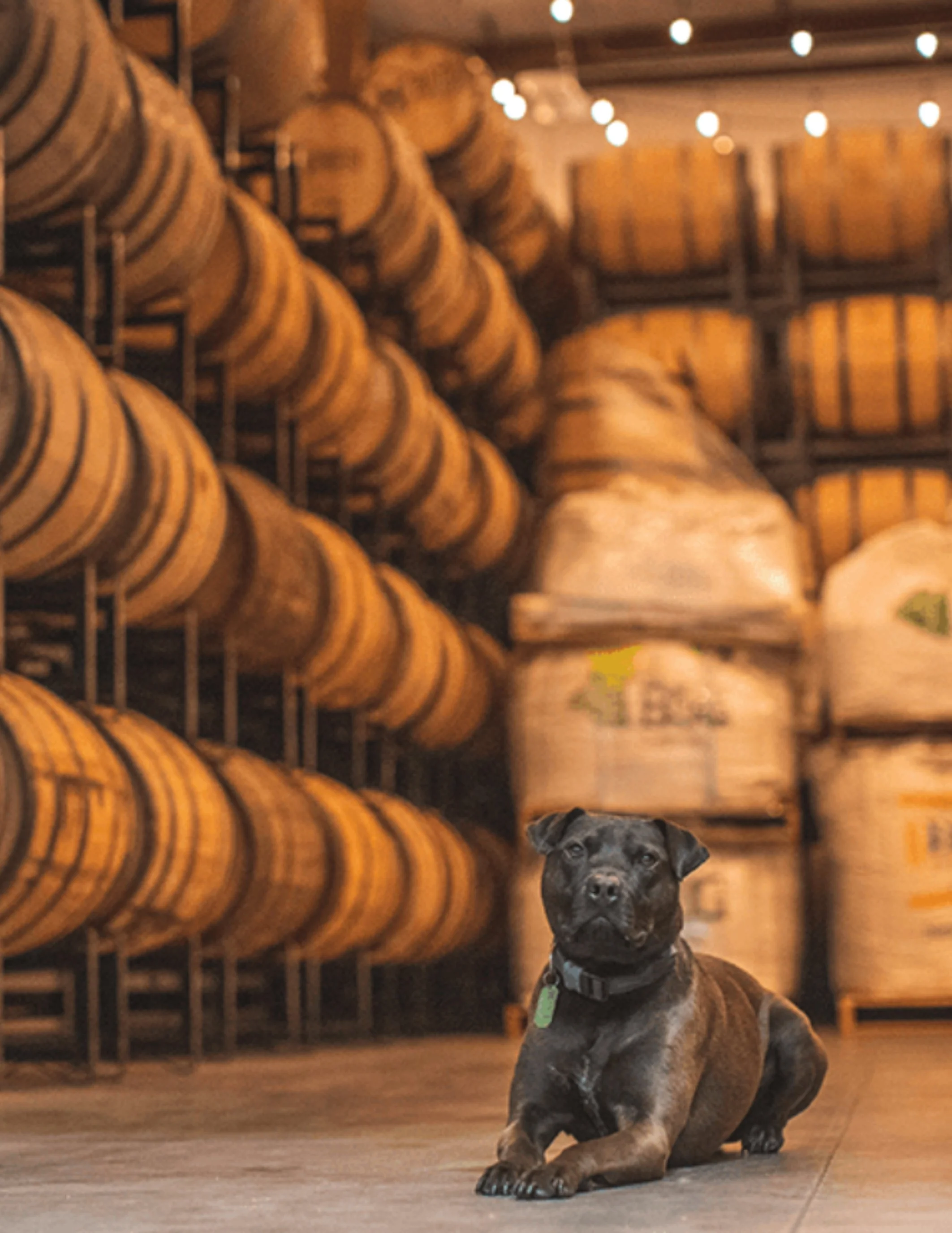 Things to Do Ephraim Photos2 (3).jpg