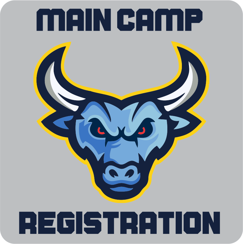 Main Camp Button.png