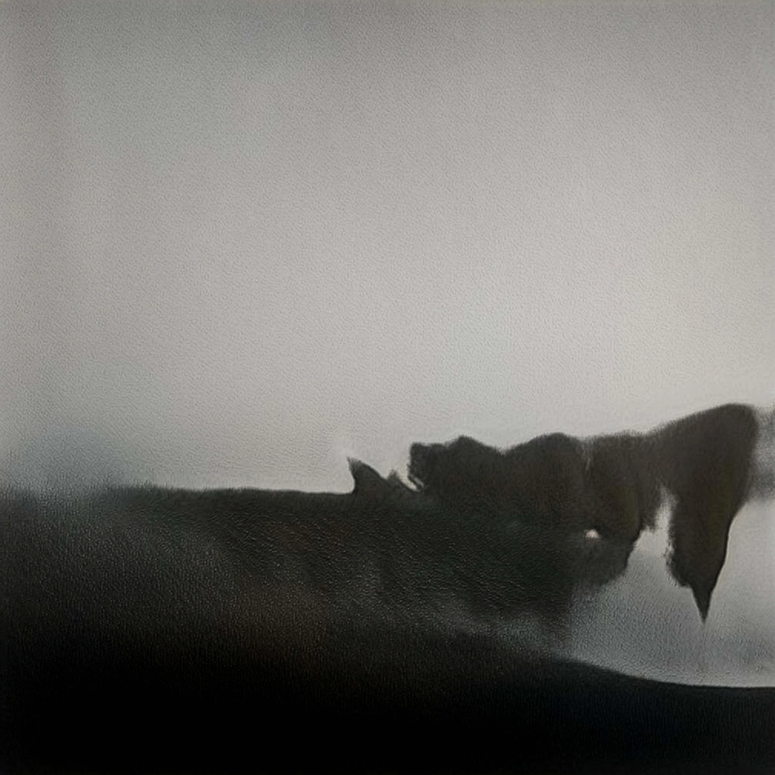 Everywhere at the End of Time