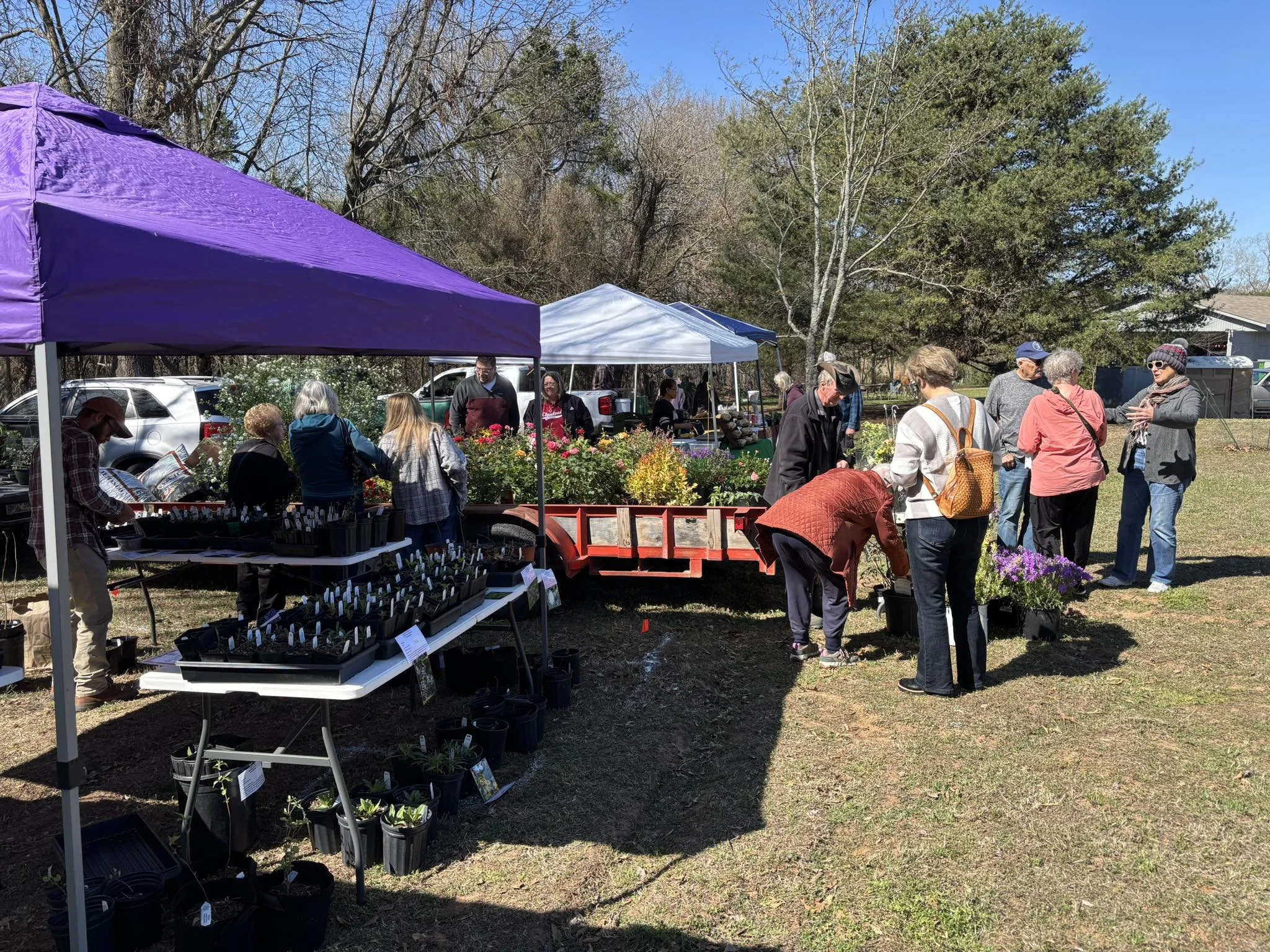 St. Bede’s Plant Sale