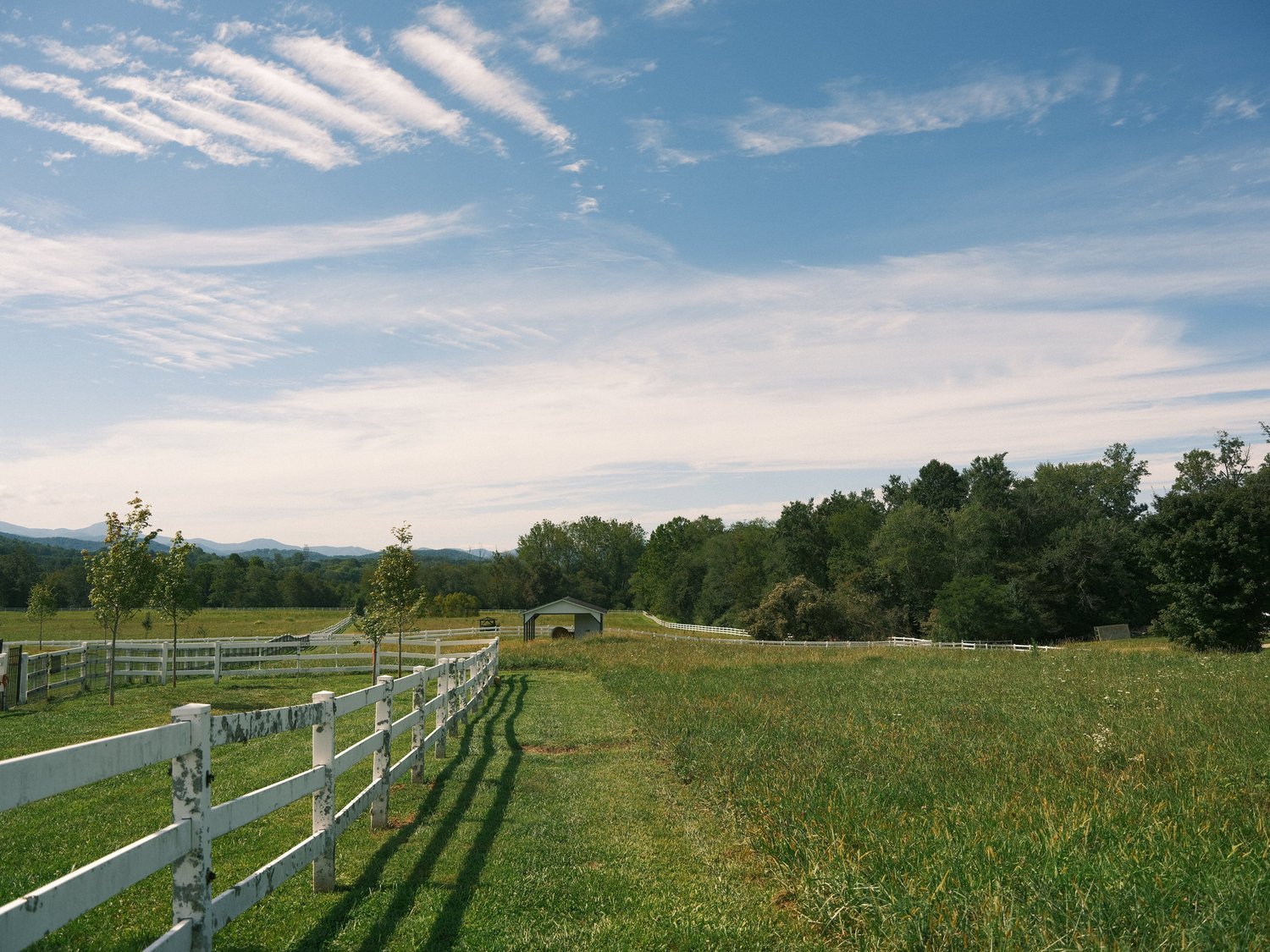 End+of+summer+walk+around+-+The+Horse+Shoe+FarmTHPG7076.jpg