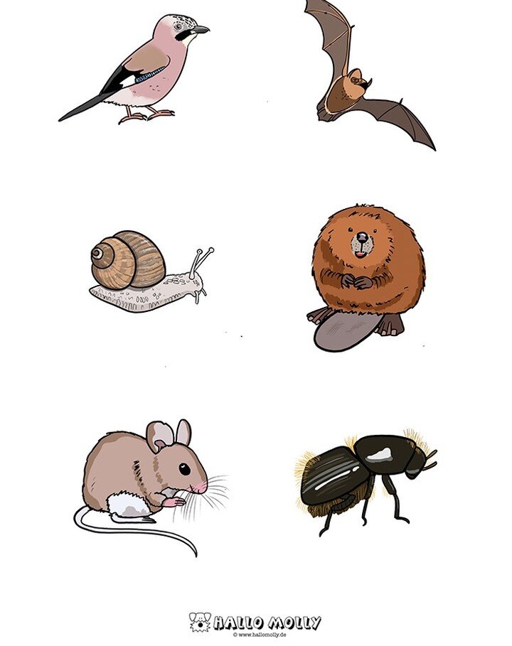 I made a few more forest / river animals 🙂 
I already made a &quot;fishing&quot; boardgame with these, I printed them out on cardboard, laminated them, added a paper clip and crafted a small magnetic fishing rod. If the kids know the species' name t