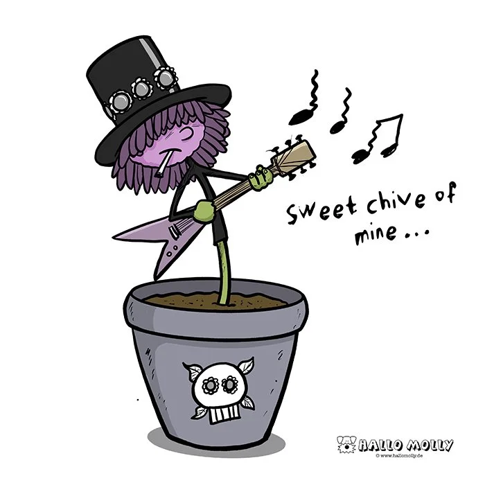 Sweet_chive_of_mine web.jpg