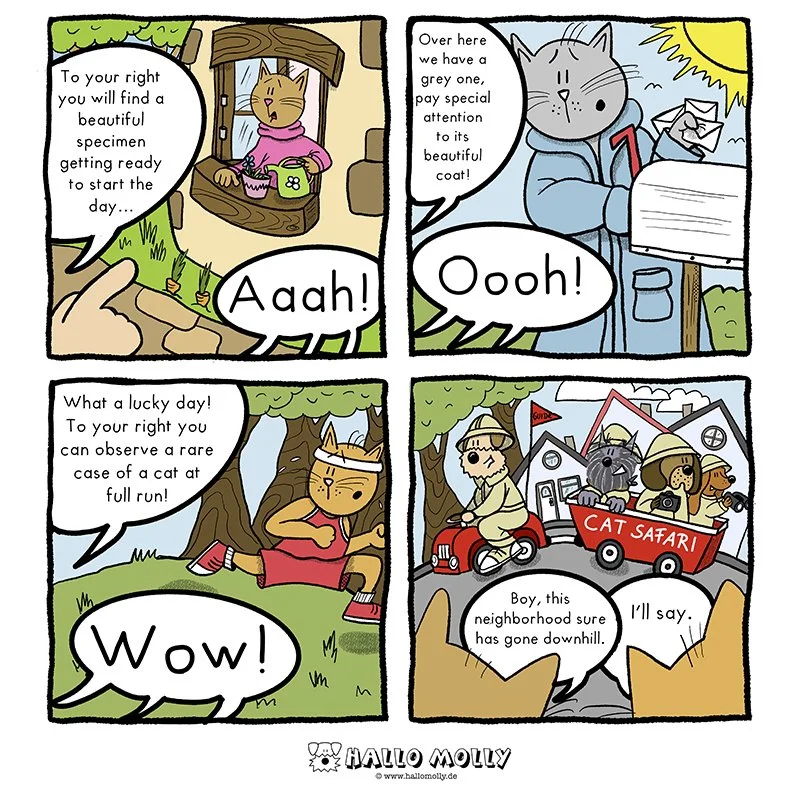 Cat_Safari complete.jpg