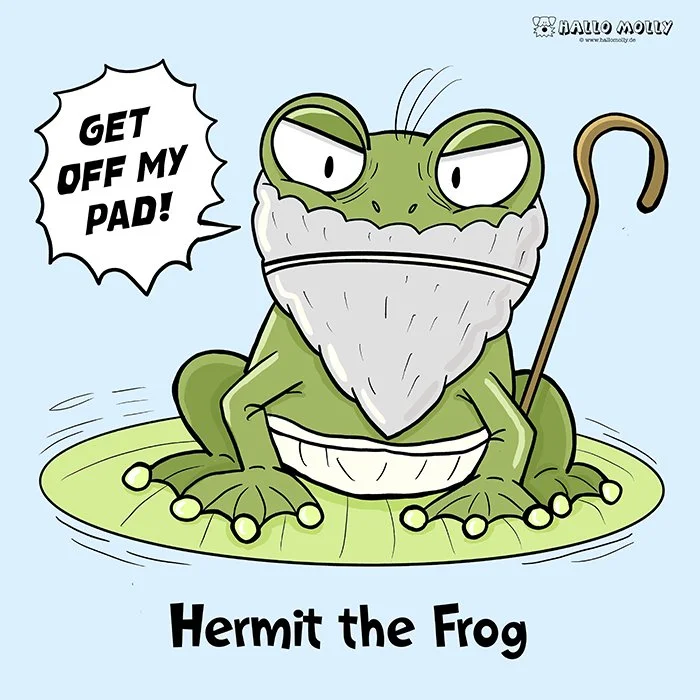 Hermit_the_Frog web.jpg