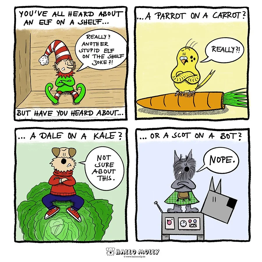 Elf_on_a_shelf complete.jpg