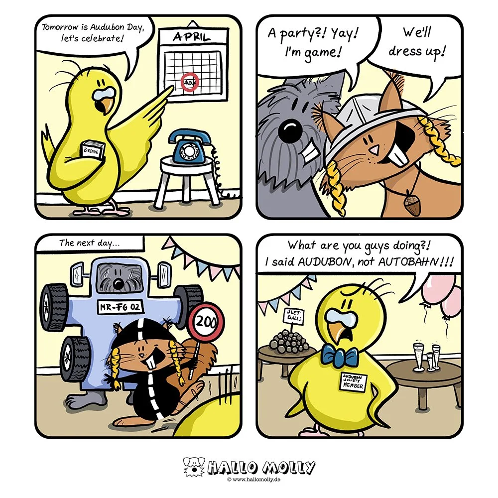 Audubon Day complete.jpg