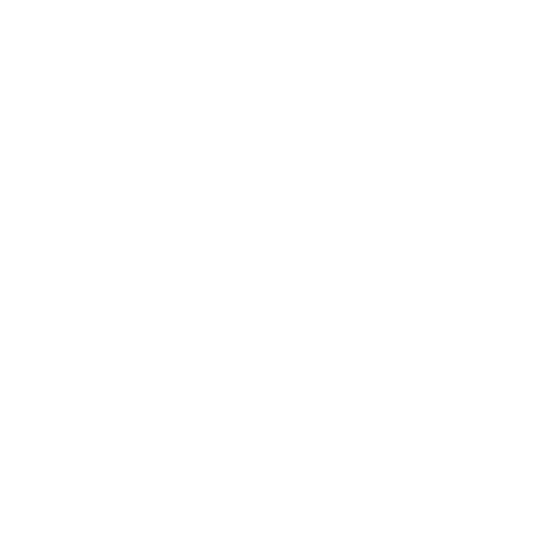 Brain Icon