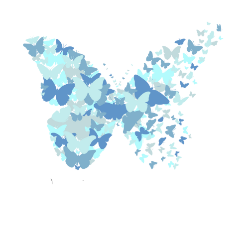 THE BUTTERLY PROMISE FOUNDATION