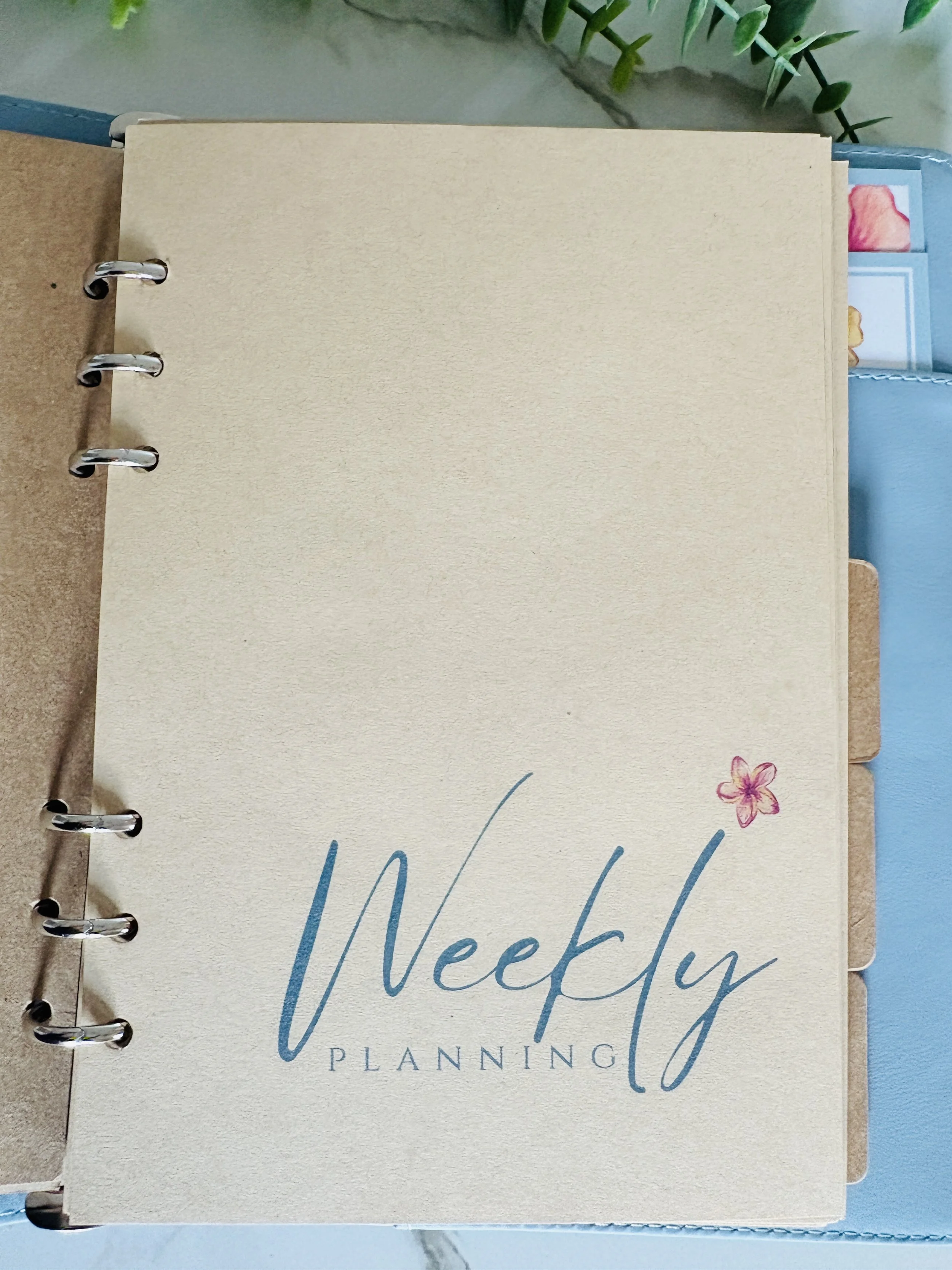 IMG_6039 2.JPG (Copy)