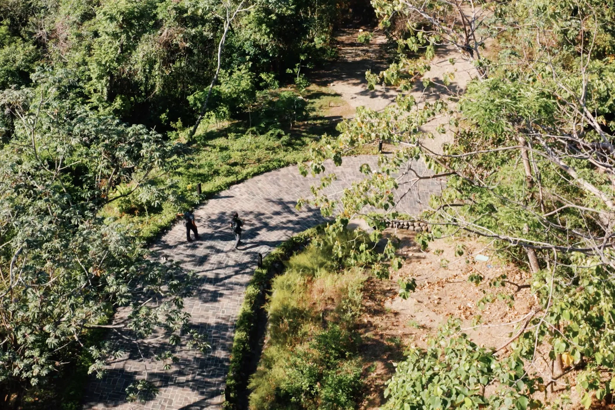 One of our roads from above