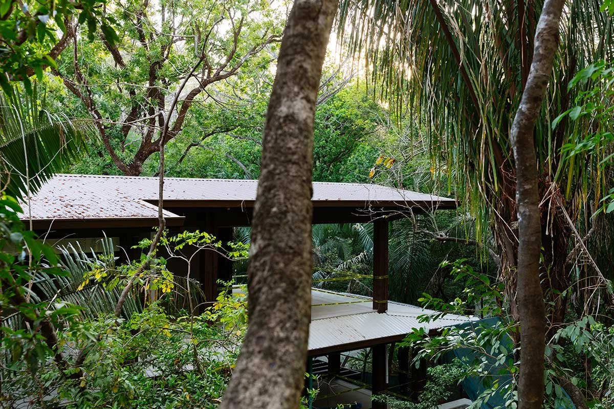 Ceibo House construction progress: March 2026