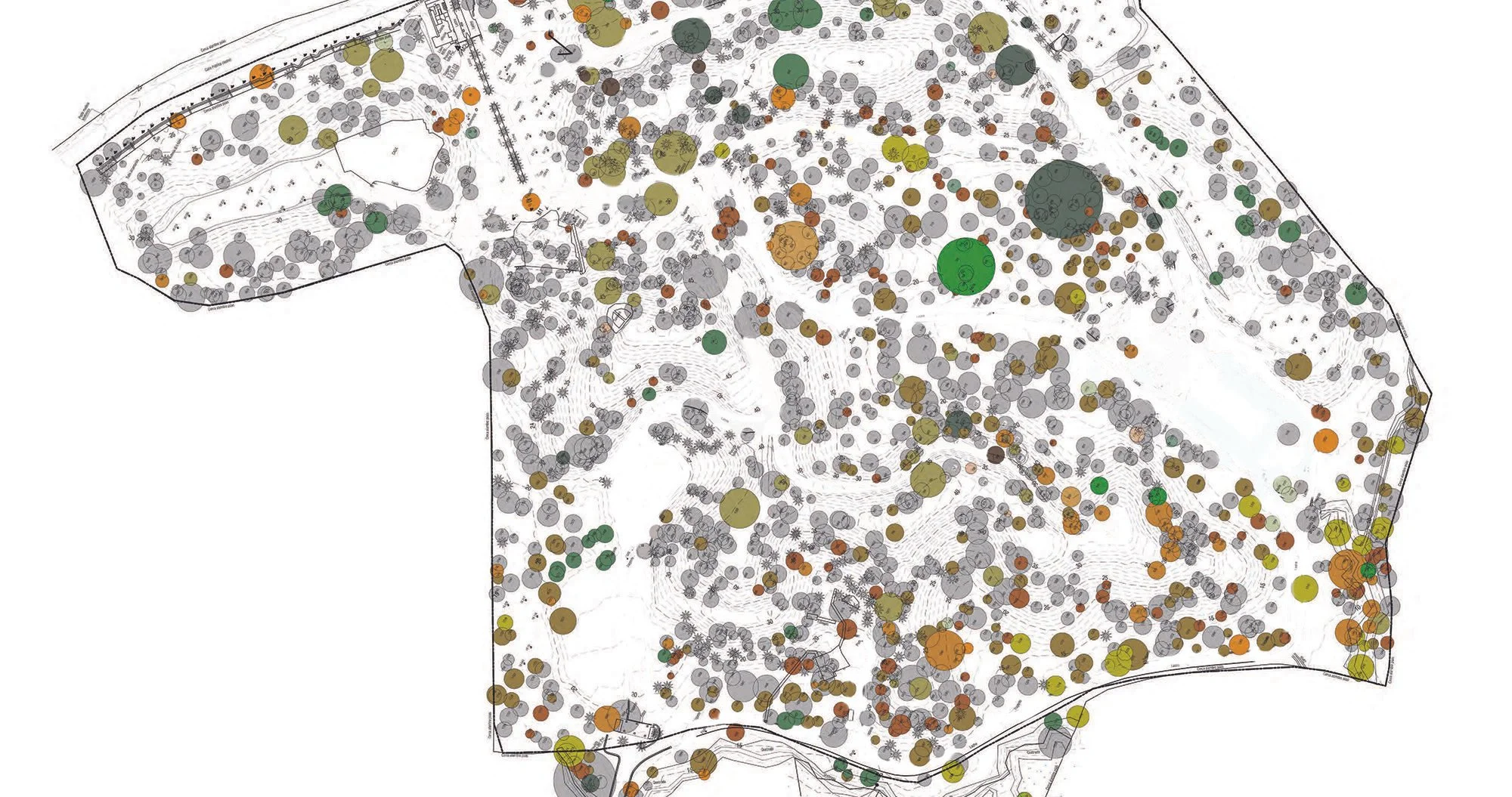 Mapping the Trees — El Bosque Nosara