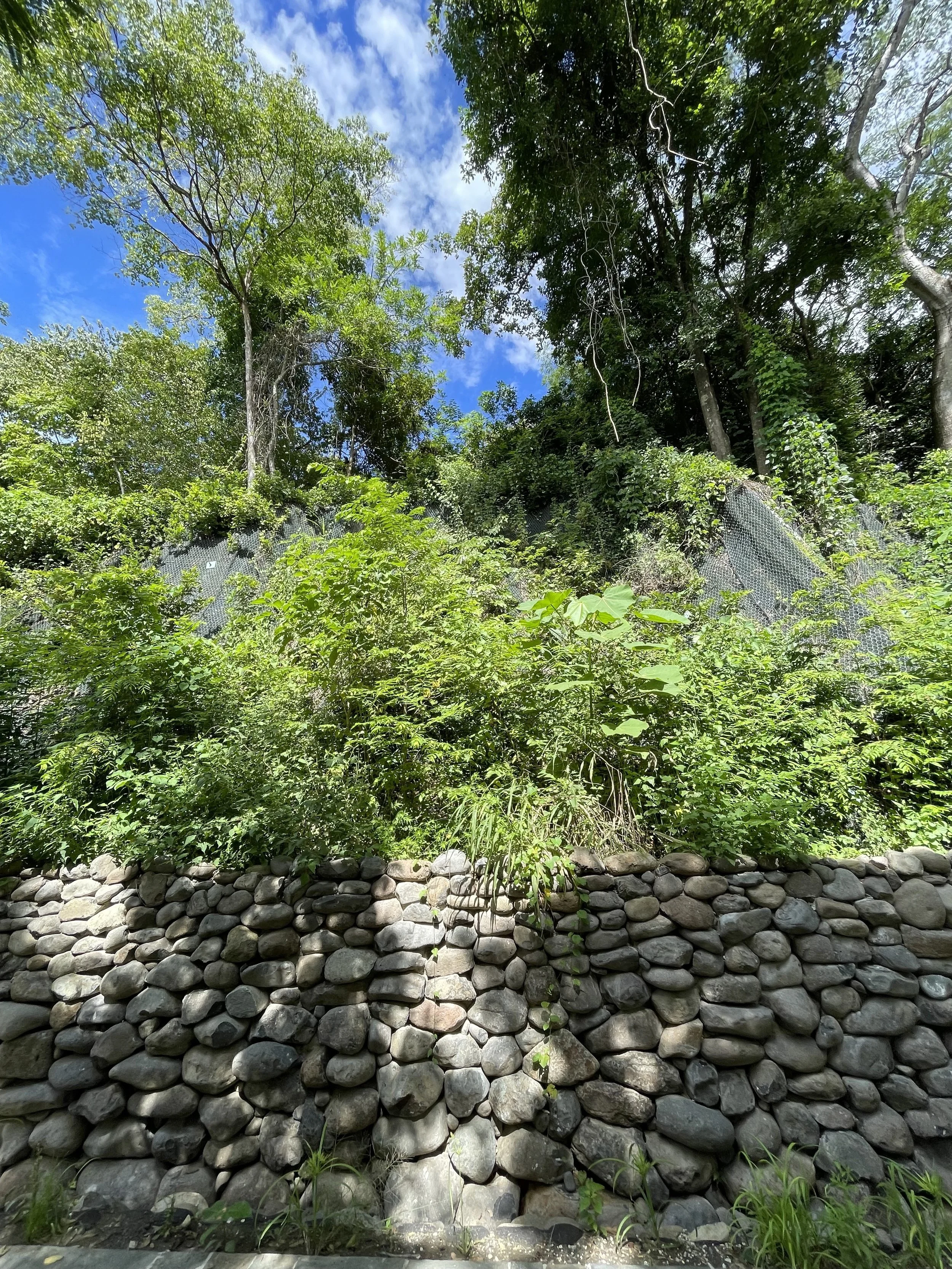 Our retaining walls are carefully designed with natural materials and native plants