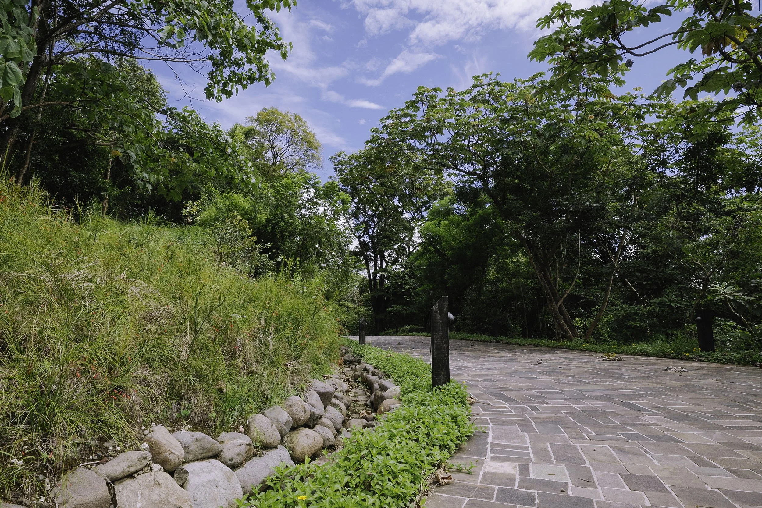 Hilltop road with water management swale