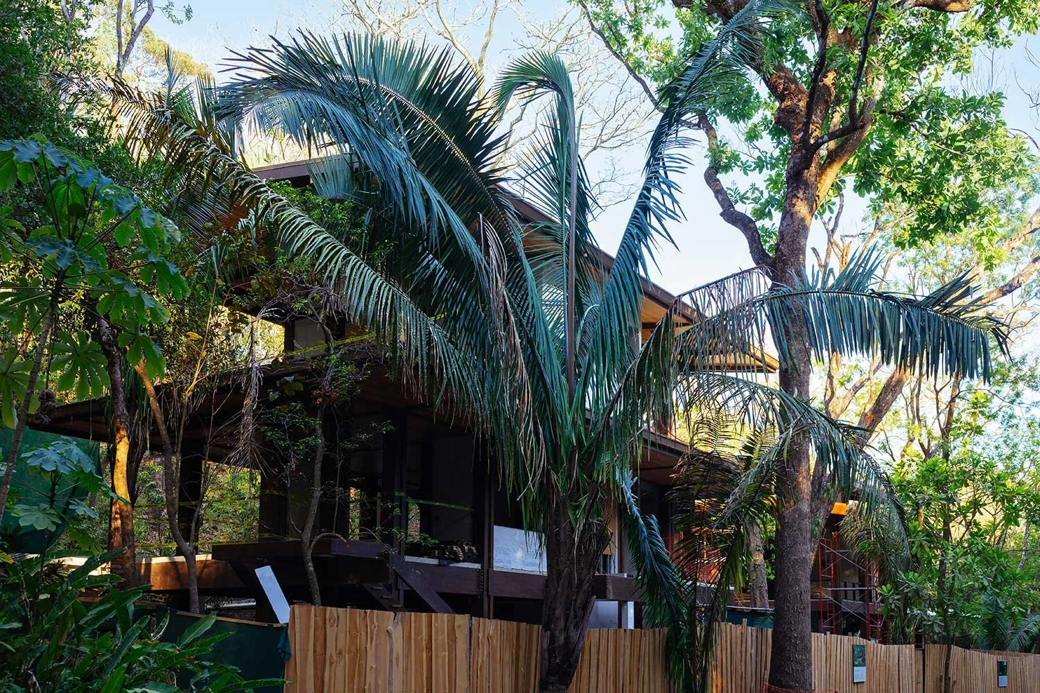 Ceibo House construction progress: March 2026