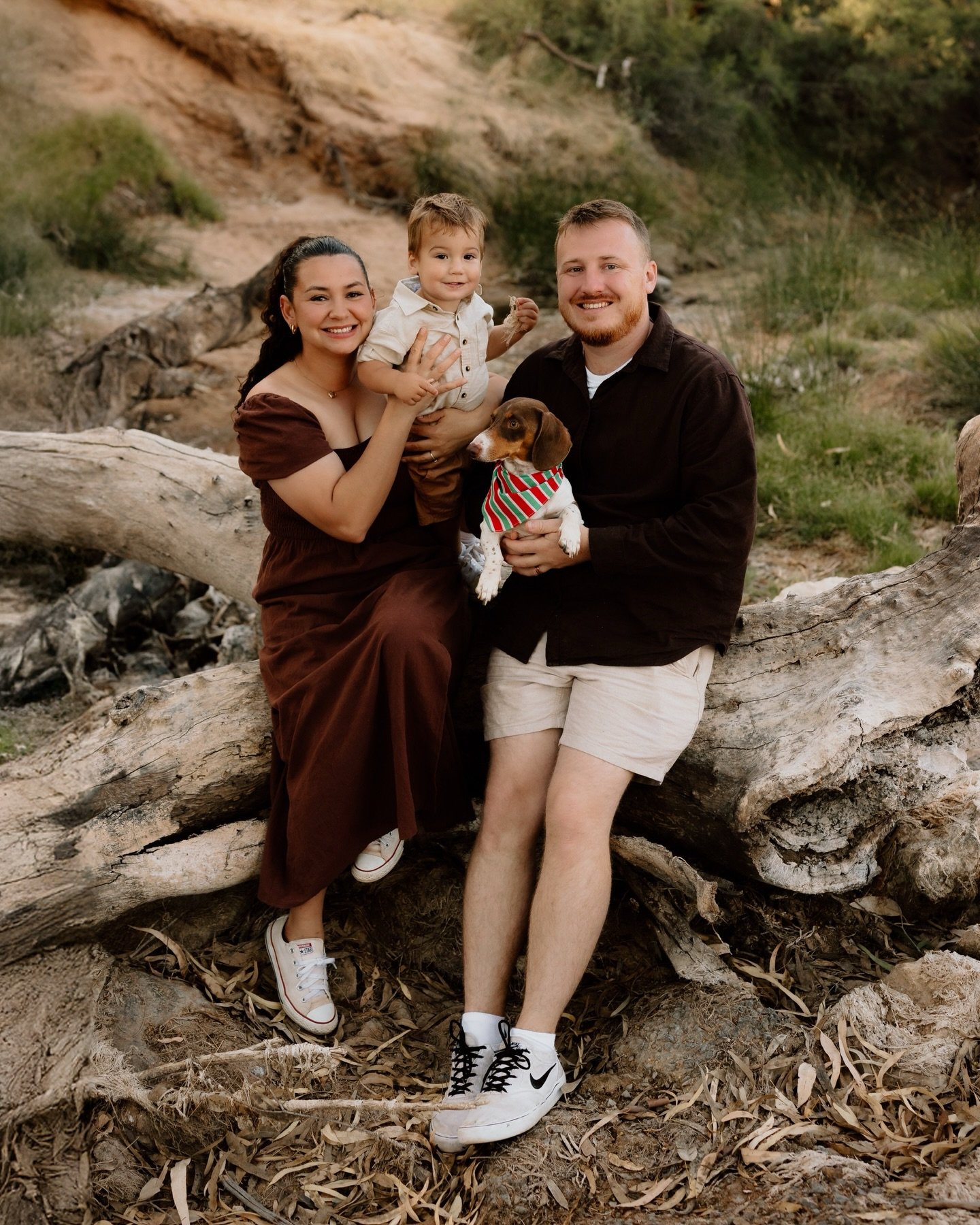 you&rsquo;d think summer is the time for beach sessions, but the bush is highly underrated! golden tones and softer greens we get inland are STUNNING, and this fam nailed the colour palette 🥹

met with emma earlier last year for theo&rsquo;s cake sm