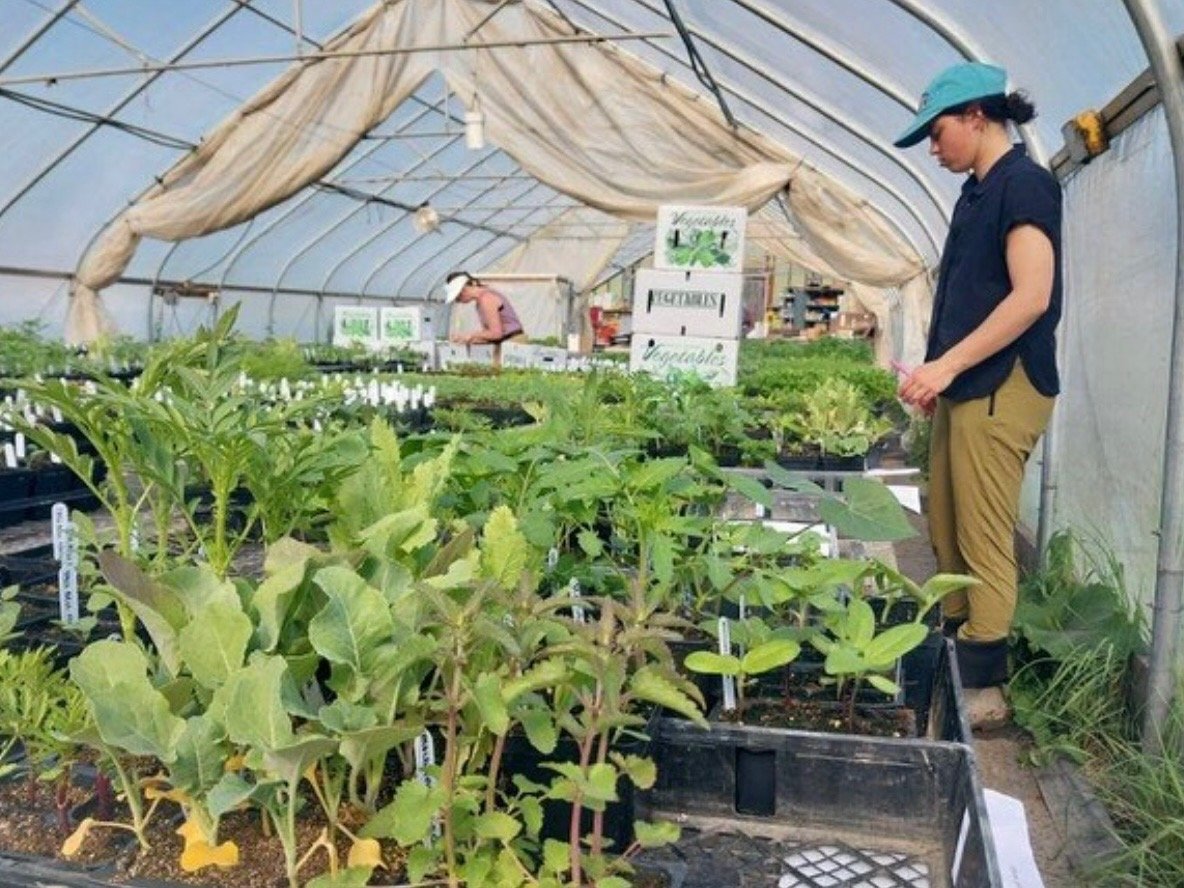 @commonthreadcsa is hosting an Open House and Plant Sale this weekend! This event is open to the public and does not require CSA membership. 

Friday, May 17th 3 to 7 pm
Saturday, May 17th 9 am to noon

Take a tour of the farm, visit with the farmers