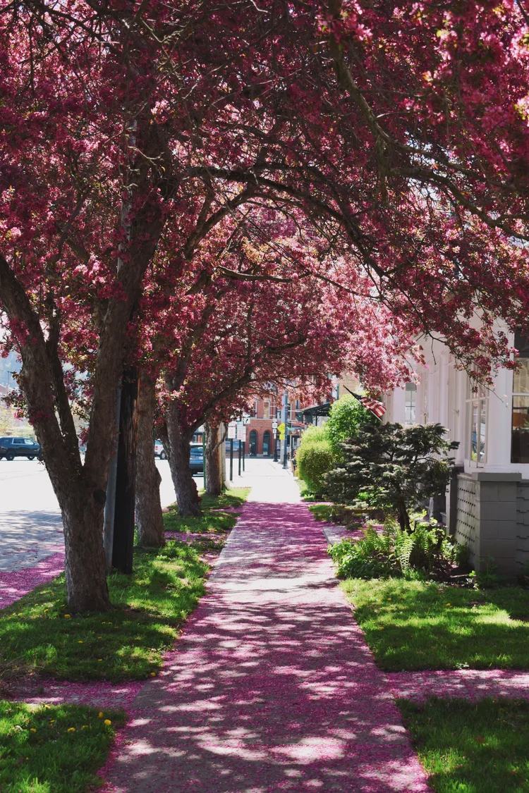 Hamilton Chamber of Commerce
