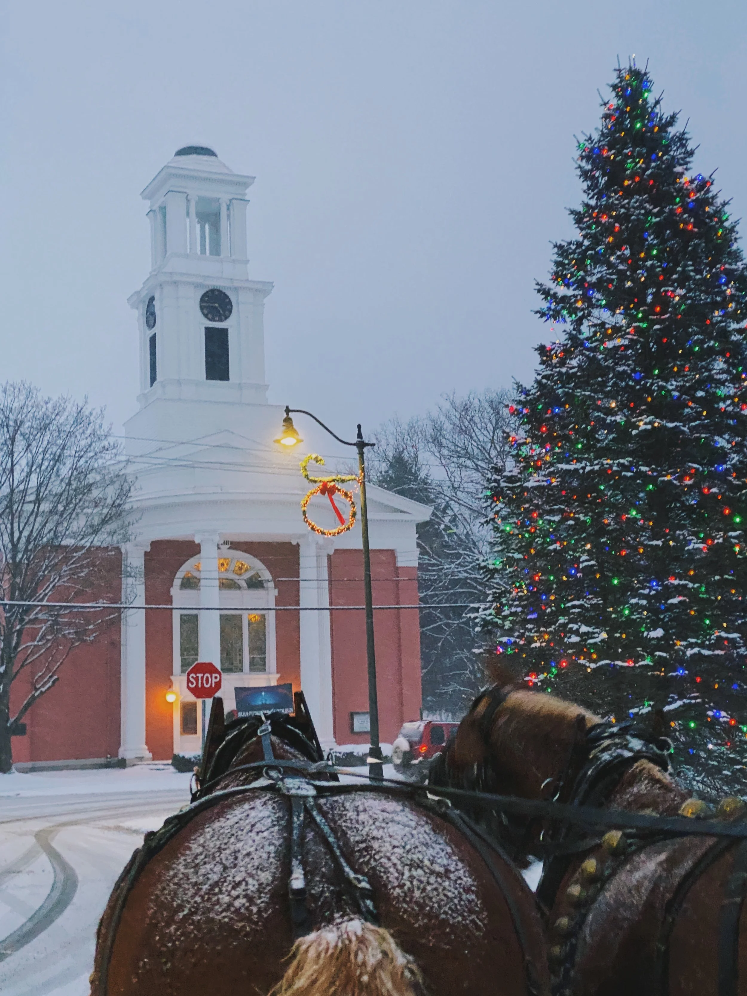 2919C2F7-998A-4943-BDBC-D2EB5AECDD5C 2.JPG