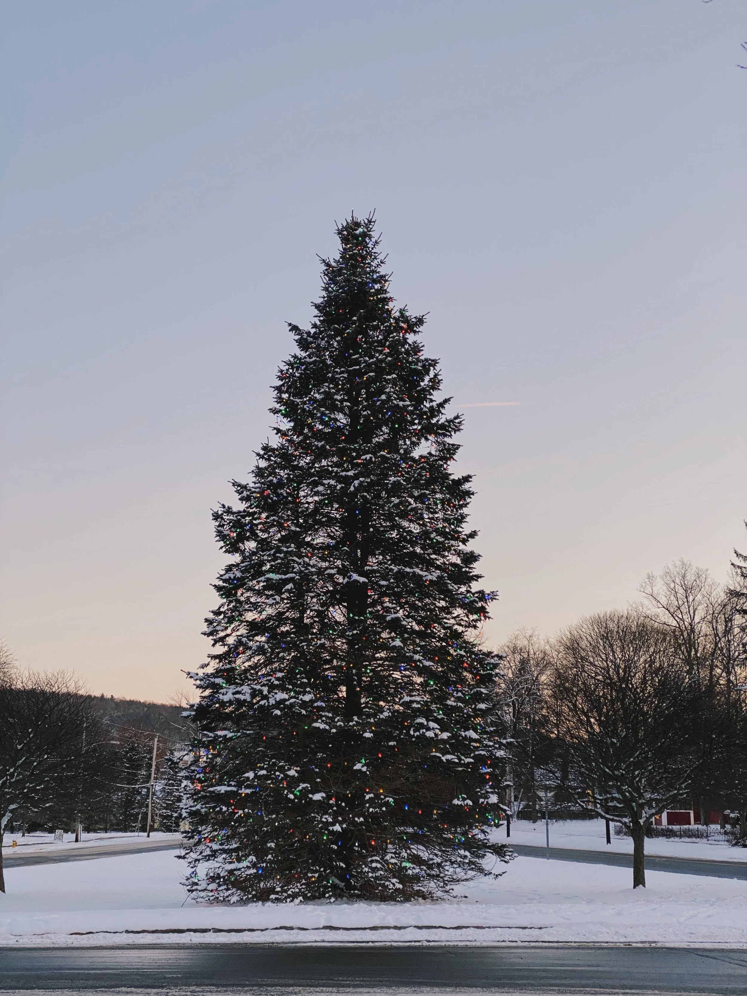 C9327B0A-38E6-4302-9AC7-B362F2F17485 2.JPG