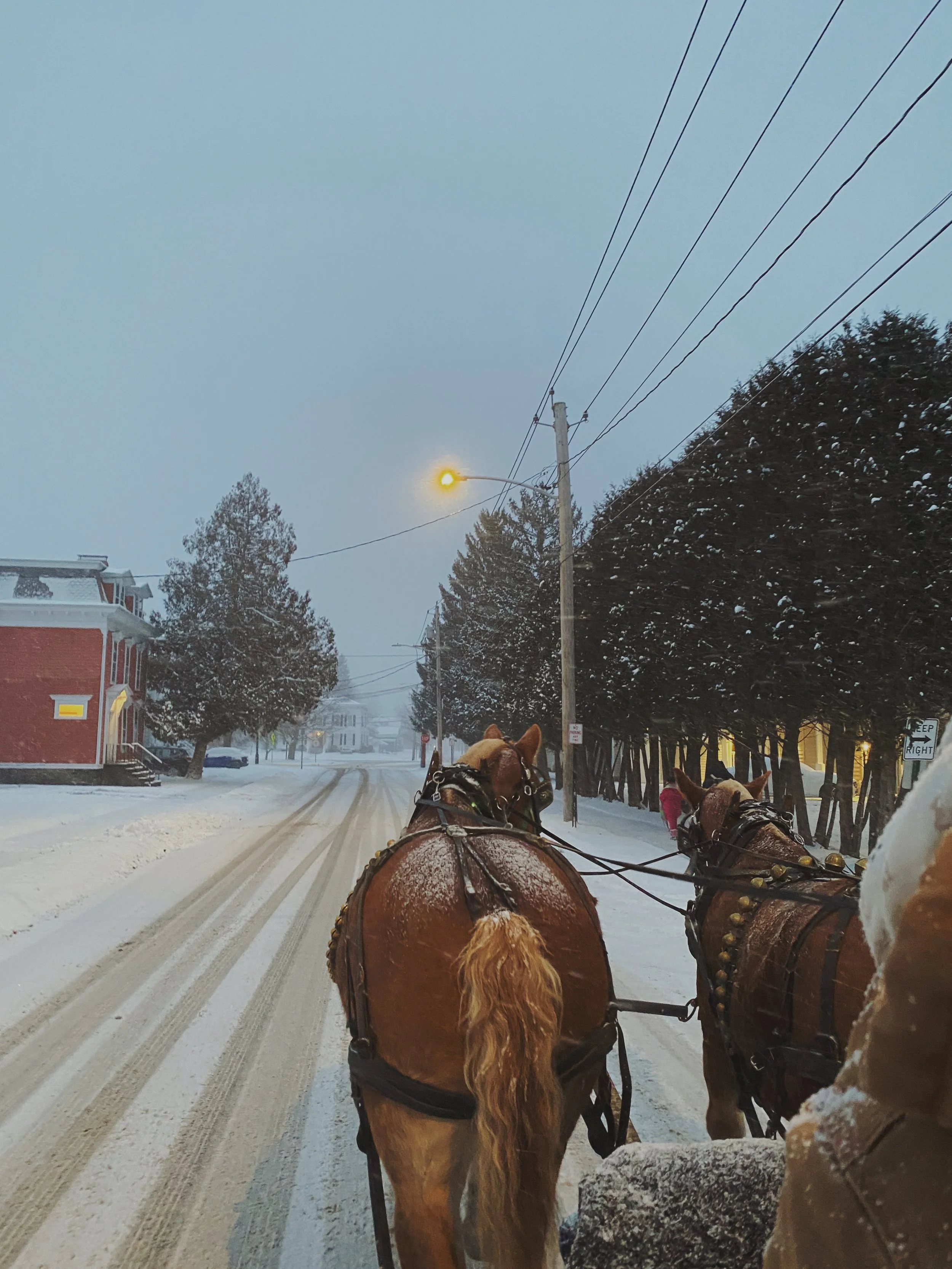 B178402D-939F-44CD-AC07-369FFA565634 2.JPG