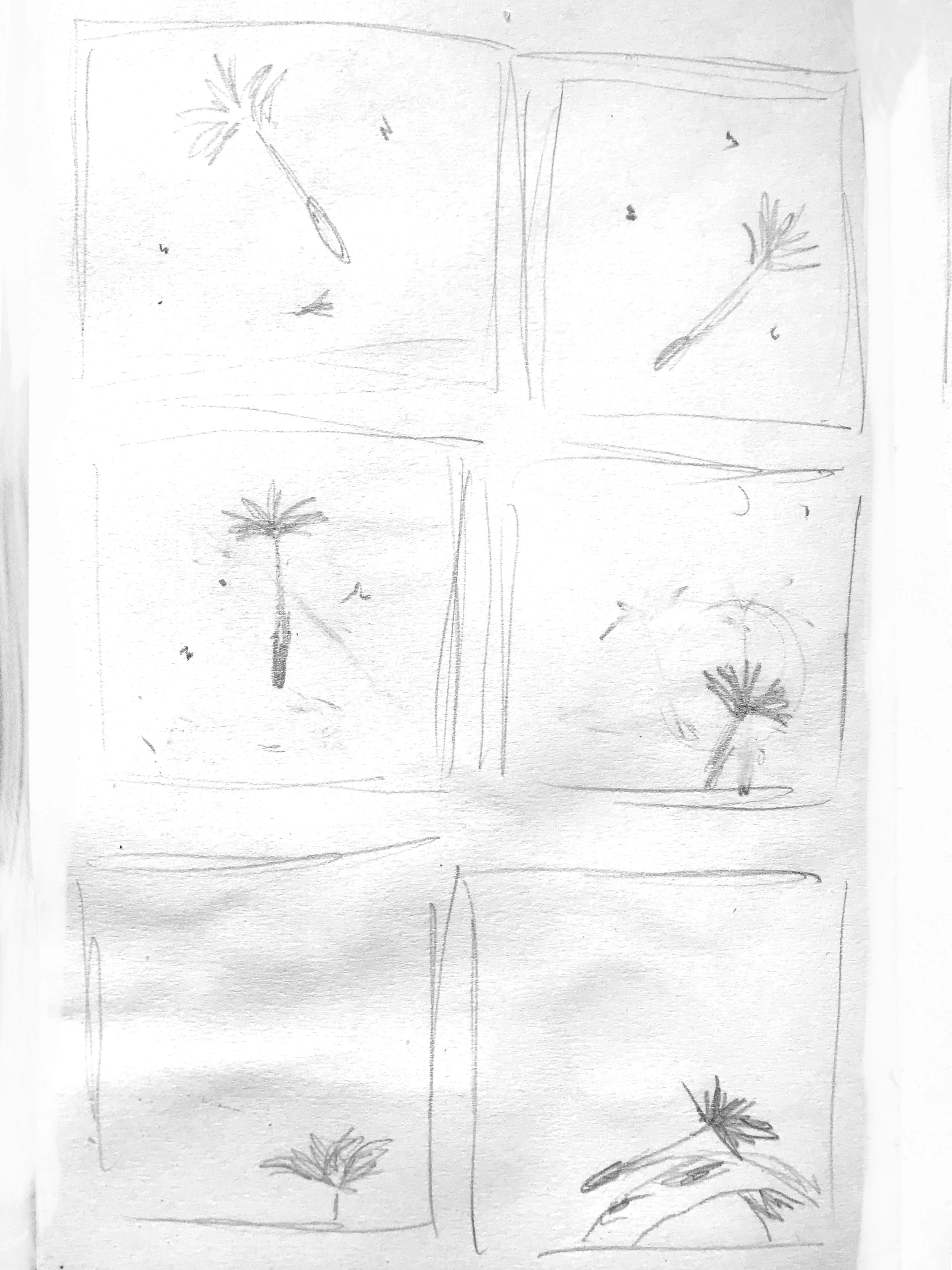 Storyboard Diente de leon end1.jpg