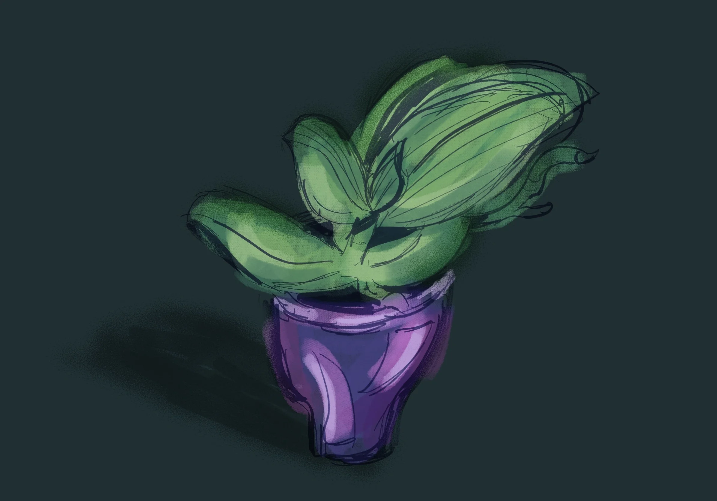 Untitled_Artwork 1.jpg