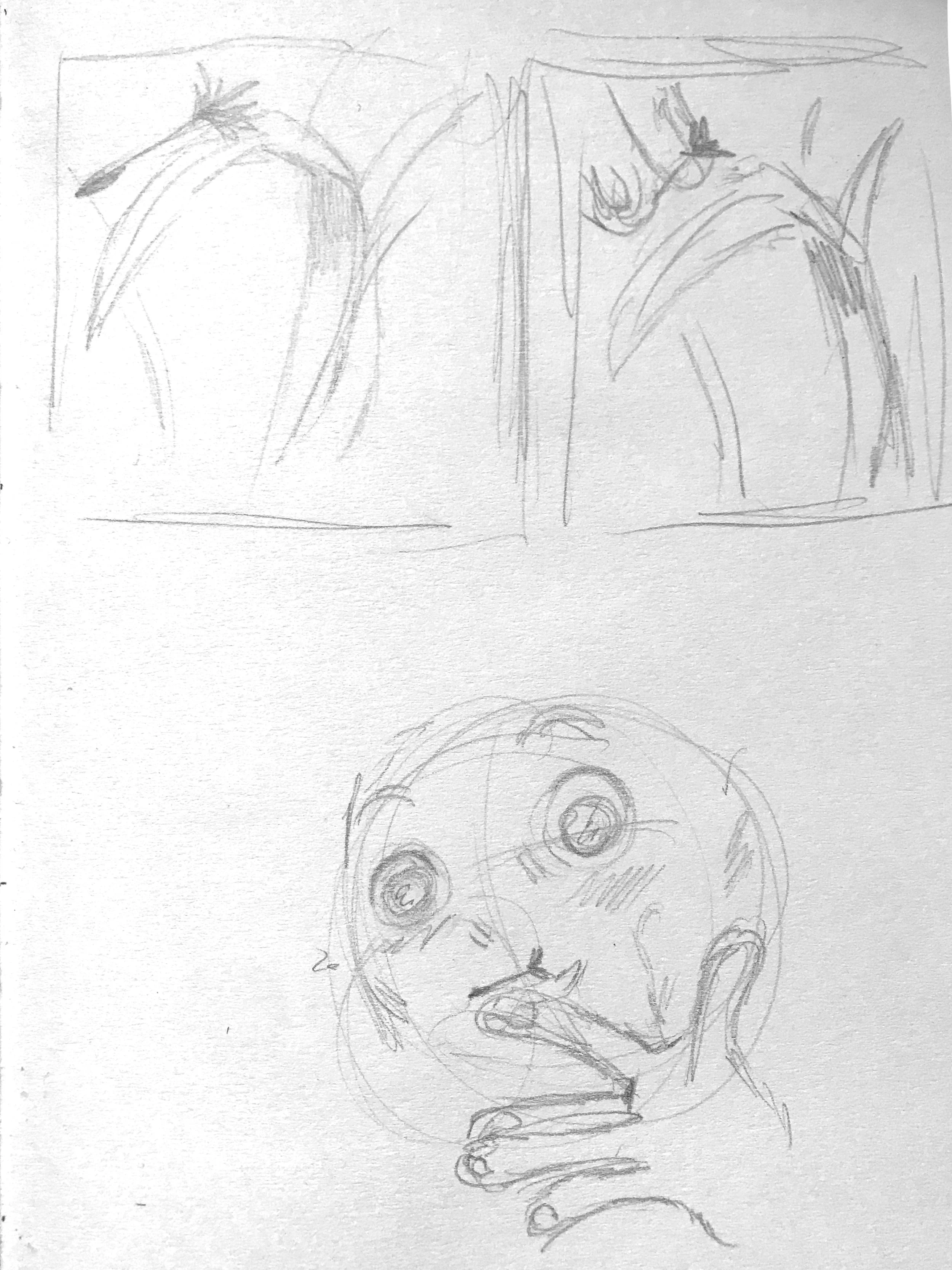 Storyboard Diente de leon end2.jpg