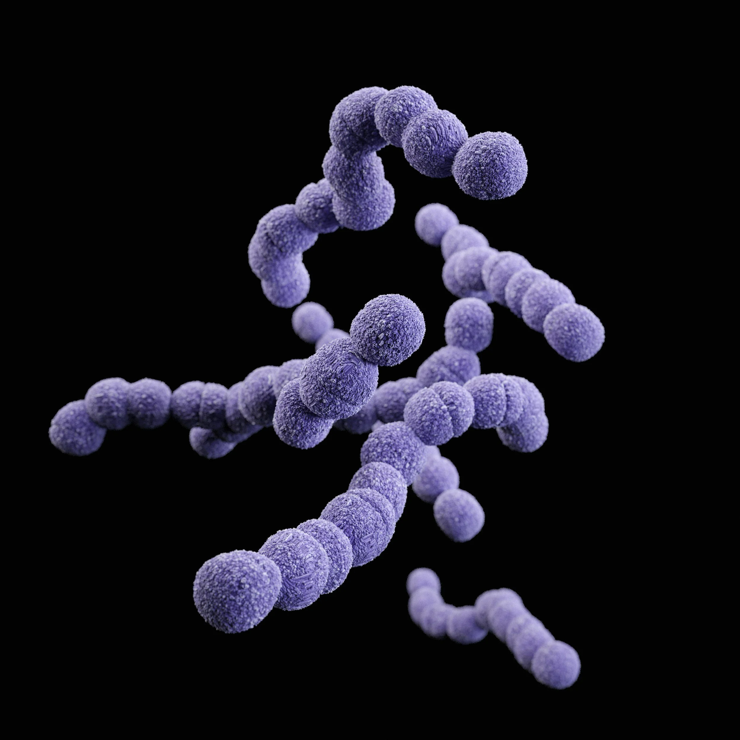 How Enterococcus Faecalis Impacts Health: What to Know