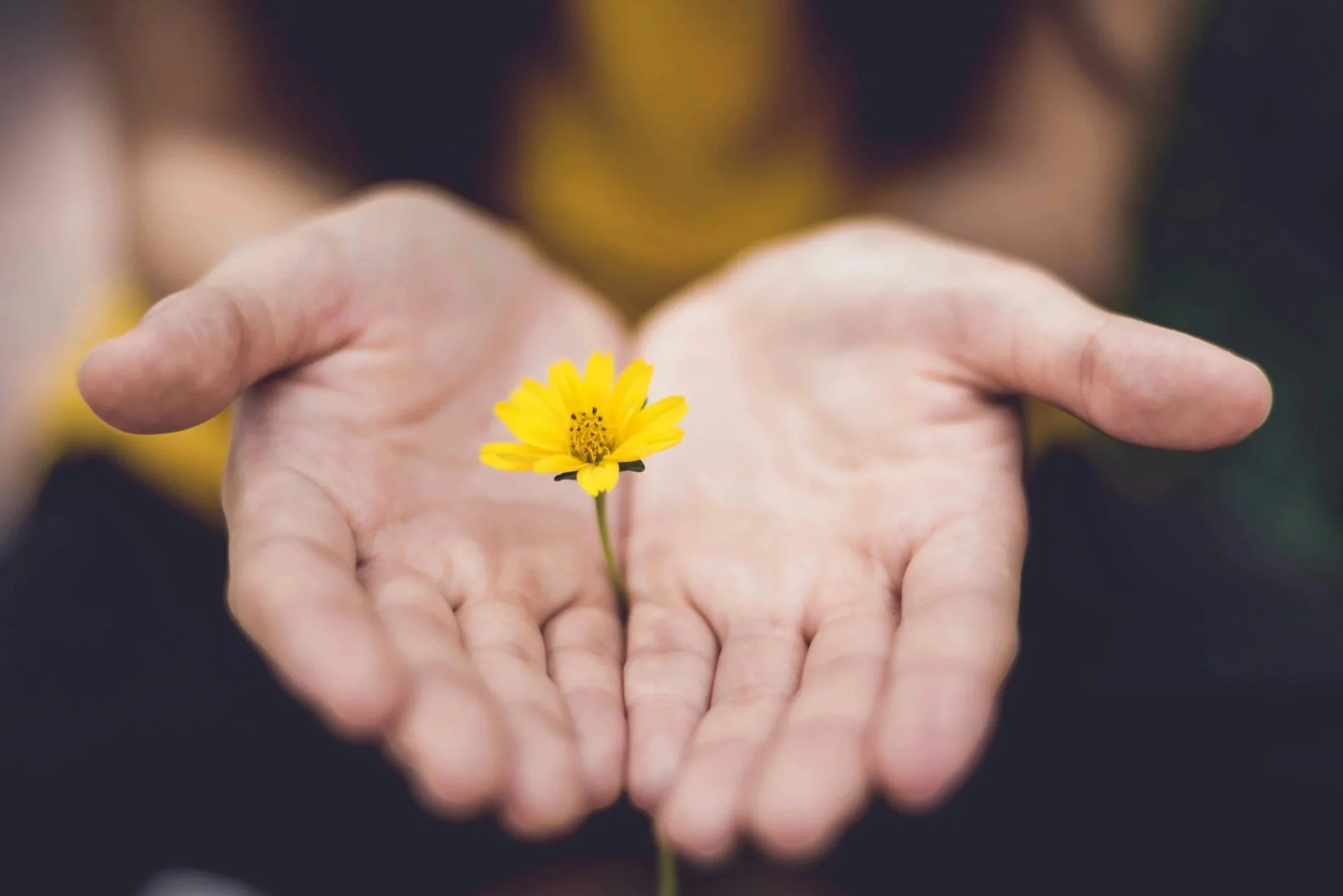 I let go so that I may receive.