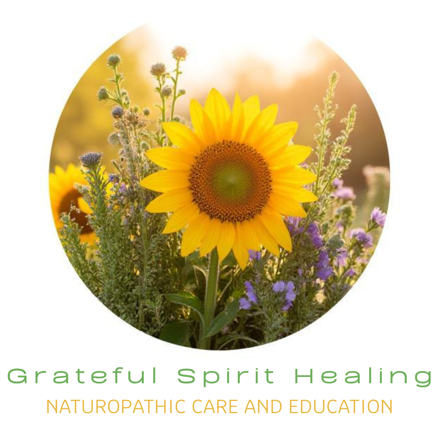 Grateful Spirit Healing