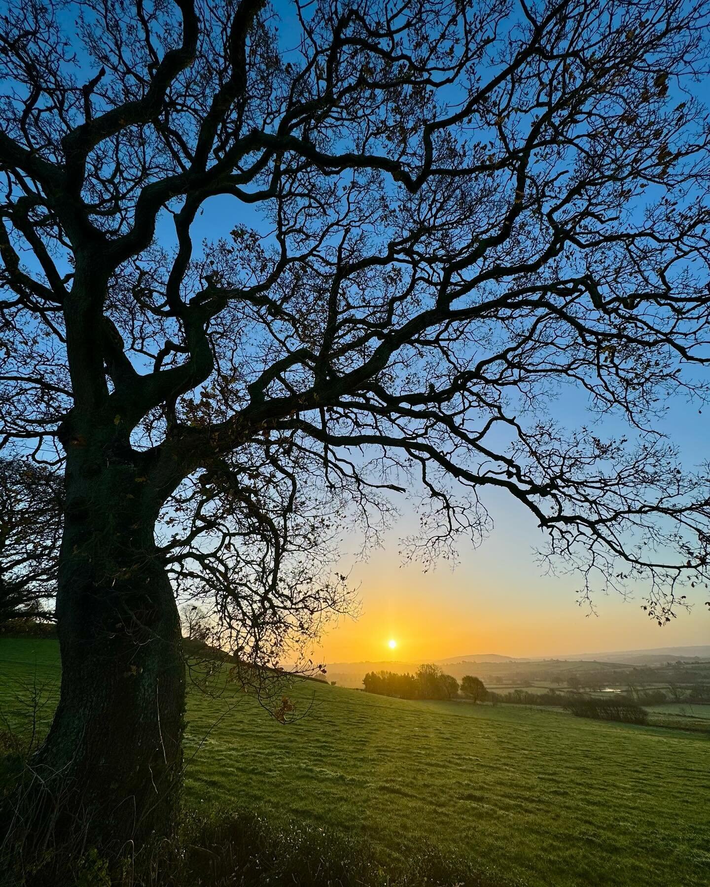 And breathe&hellip; relaxation, time to yourself. Just as important as dietary advice. My walk this morning in the Somerset lanes.