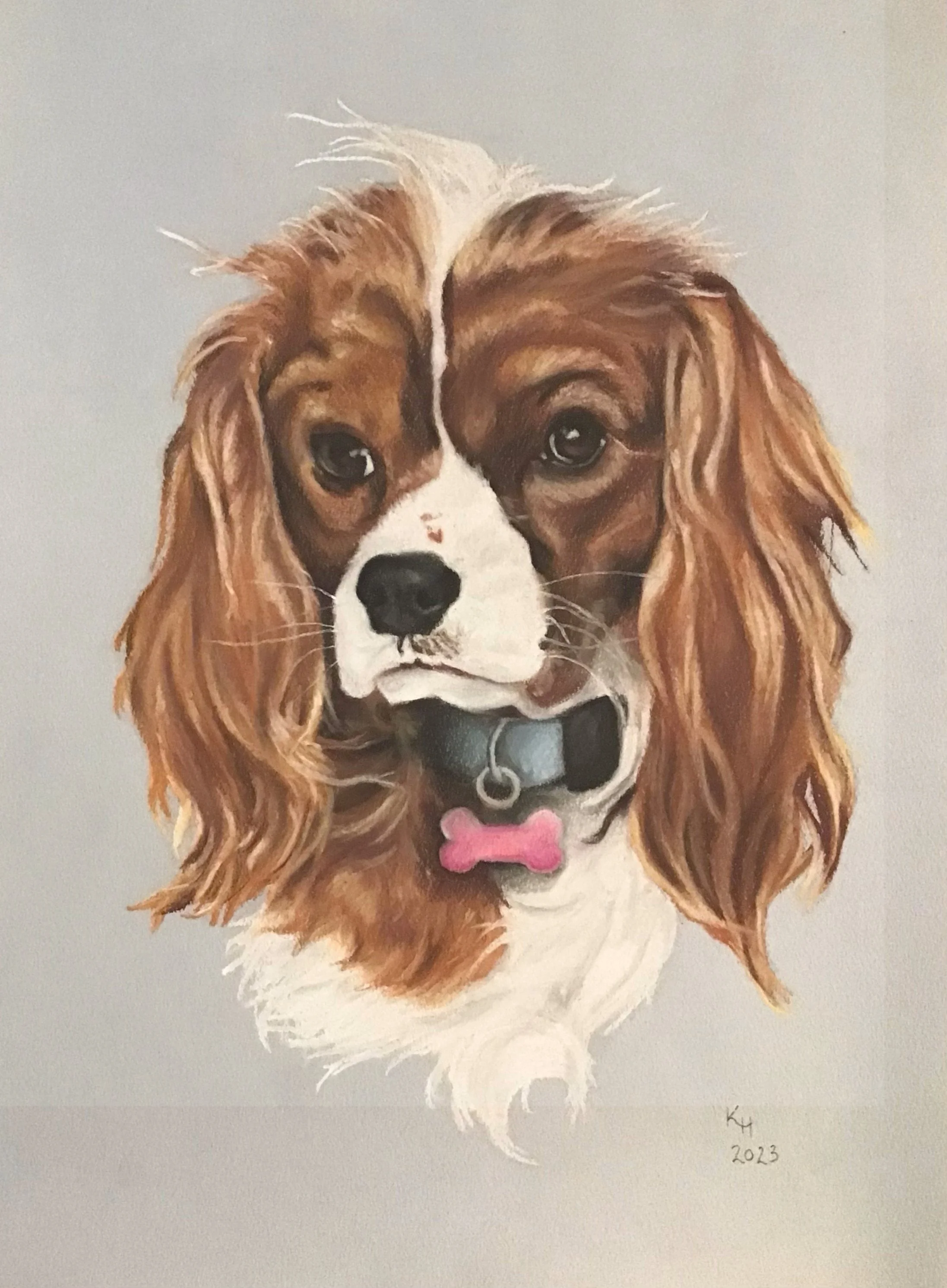 Dog 4.jpg