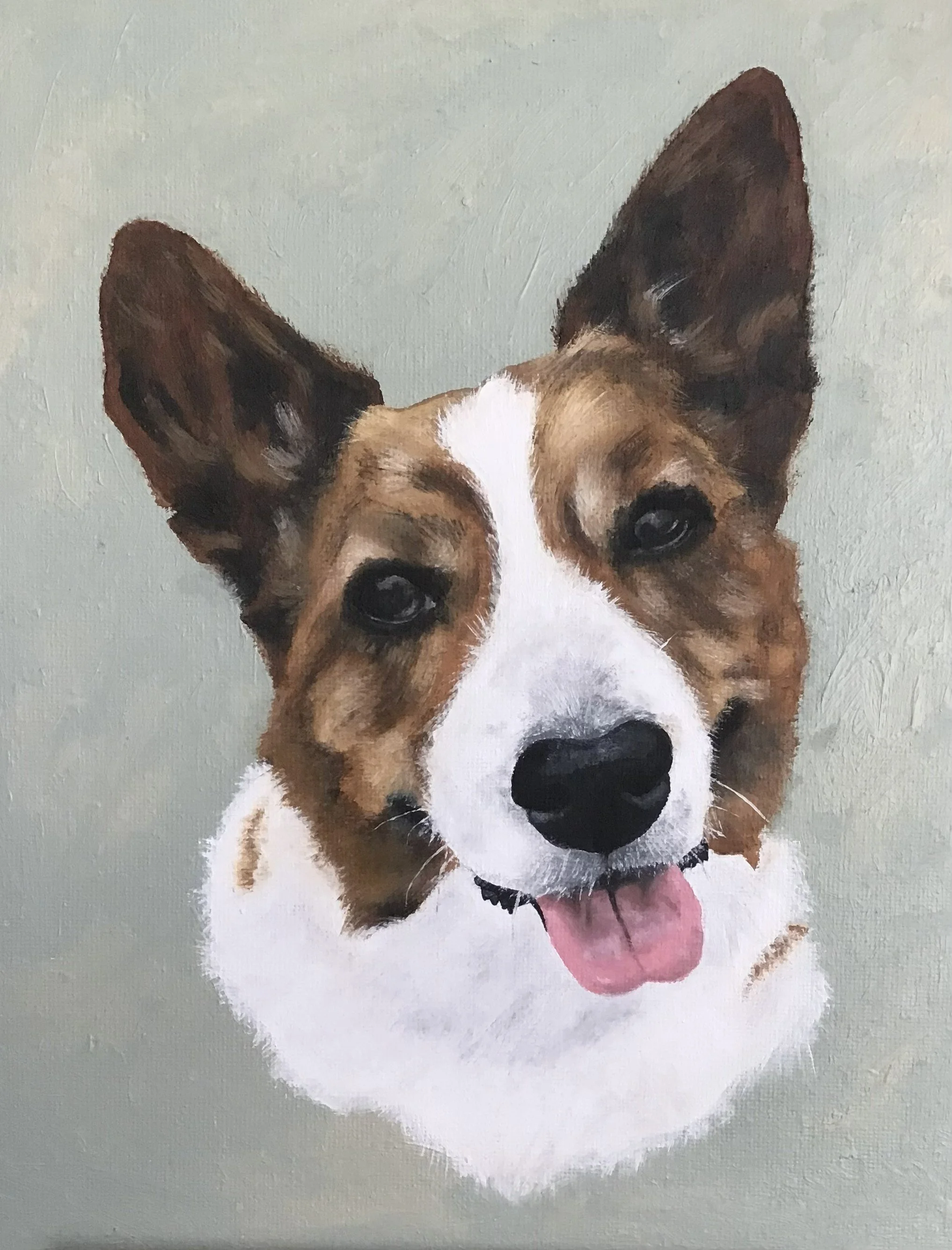 Dog 5.jpg