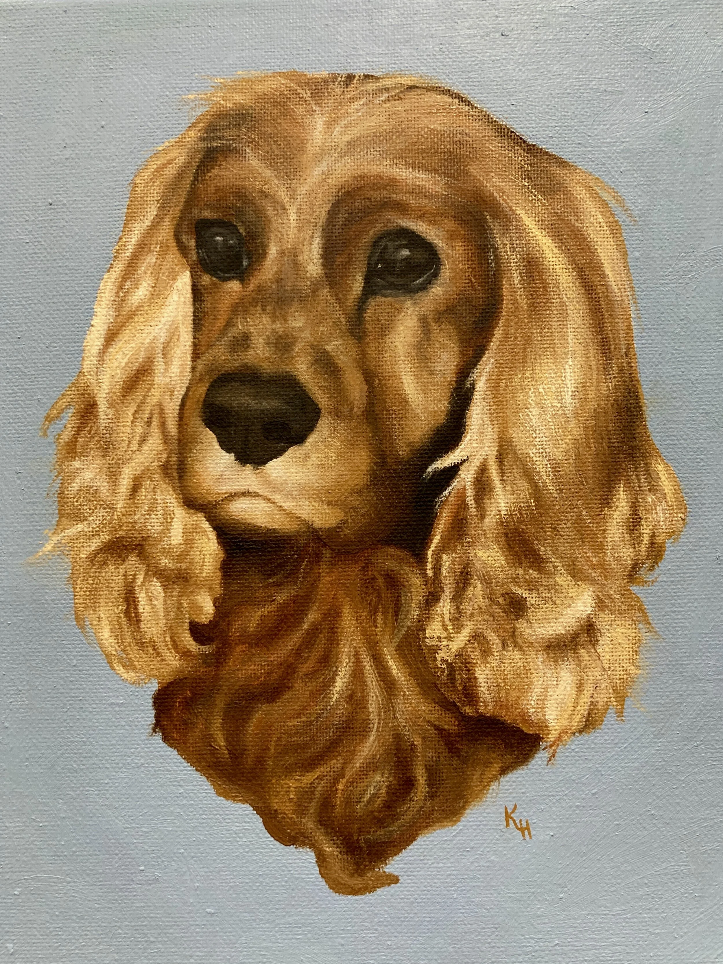 Dog 3.jpg