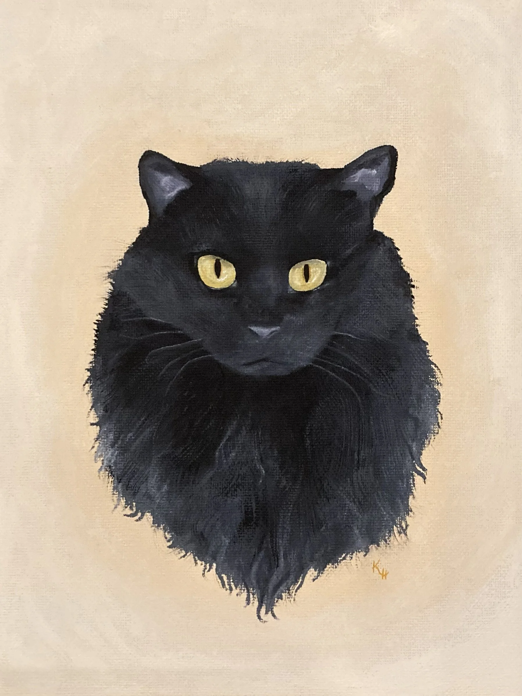 Cat 1.jpg