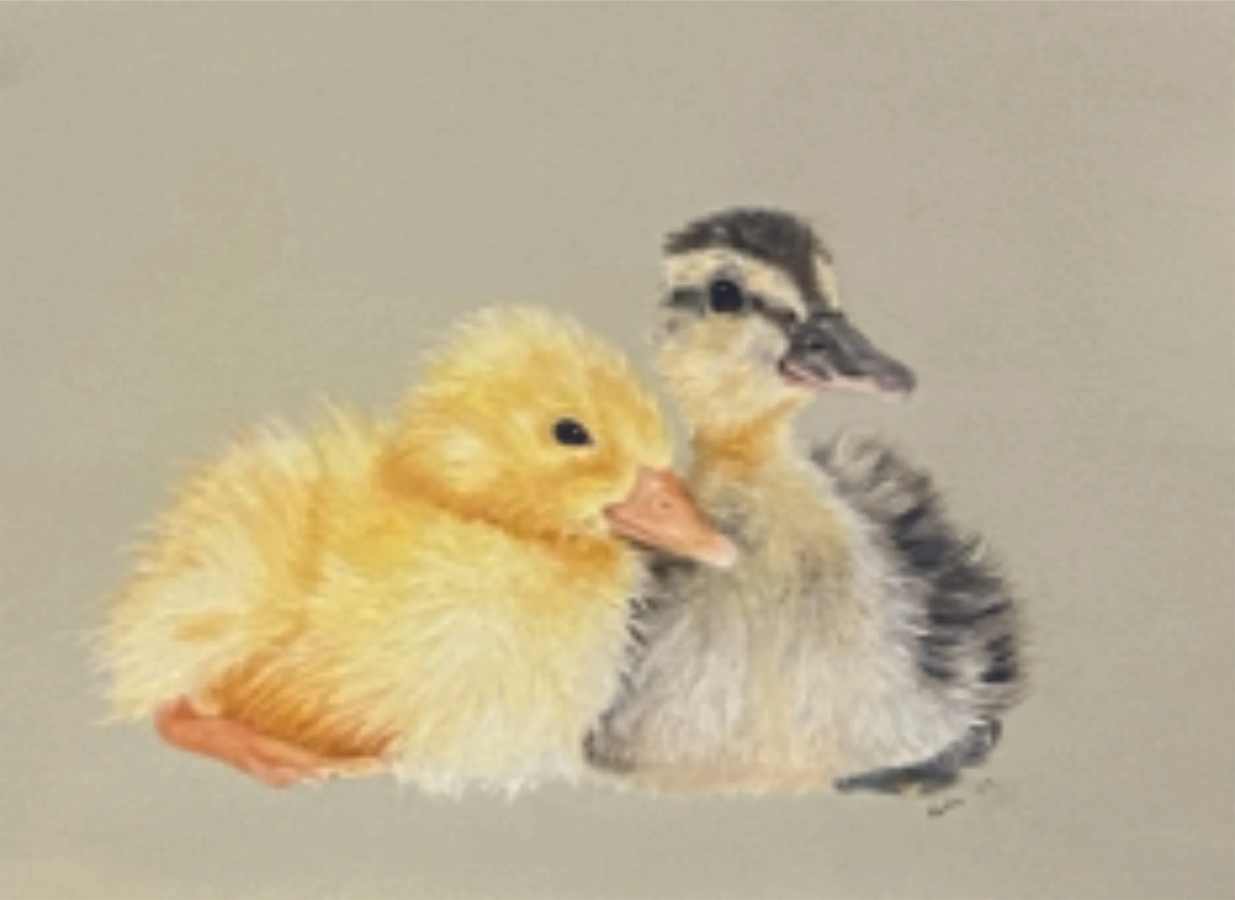 Two ducklings.jpg