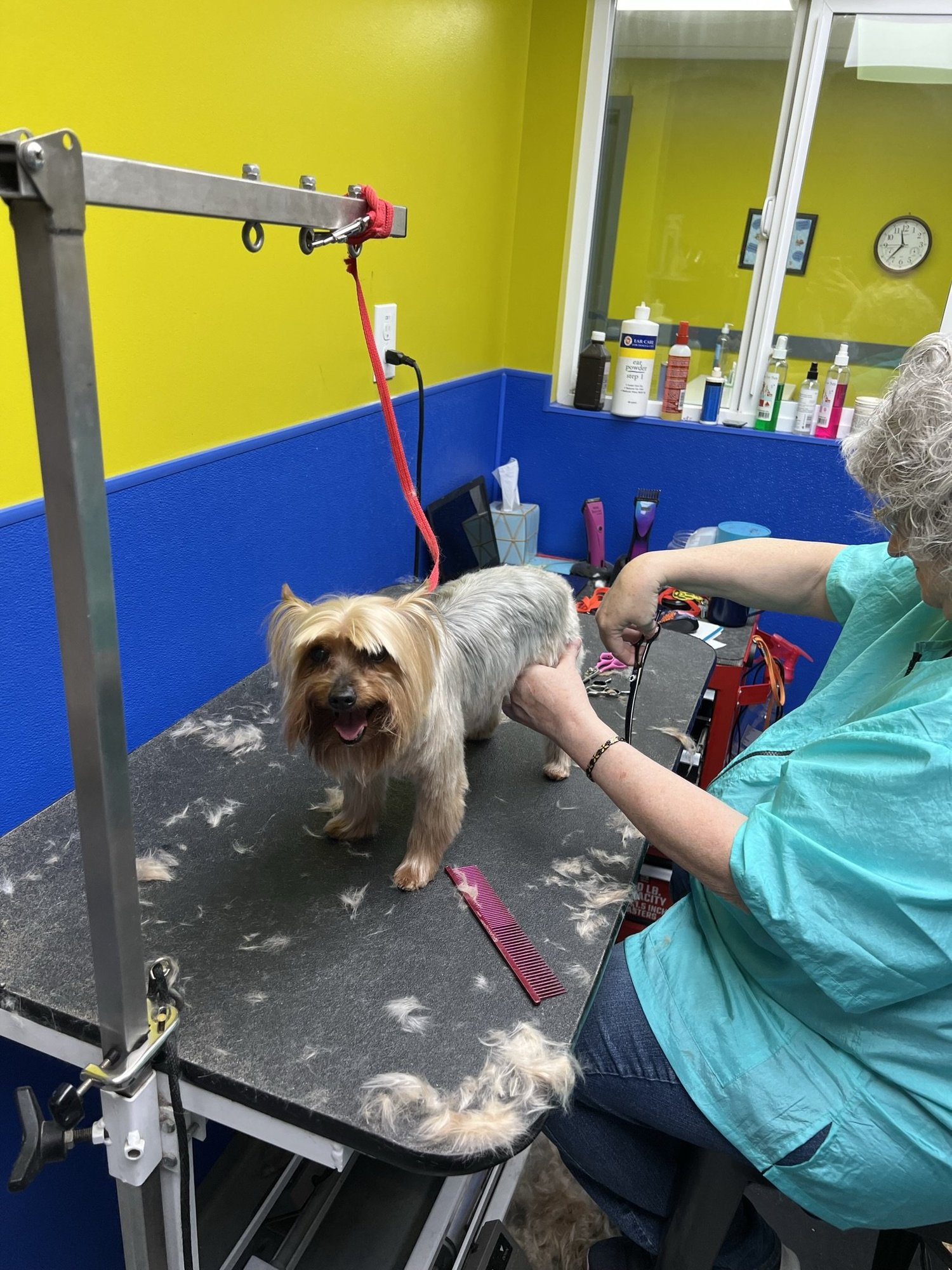 PAWS N PALS DOGGY DAYCARE