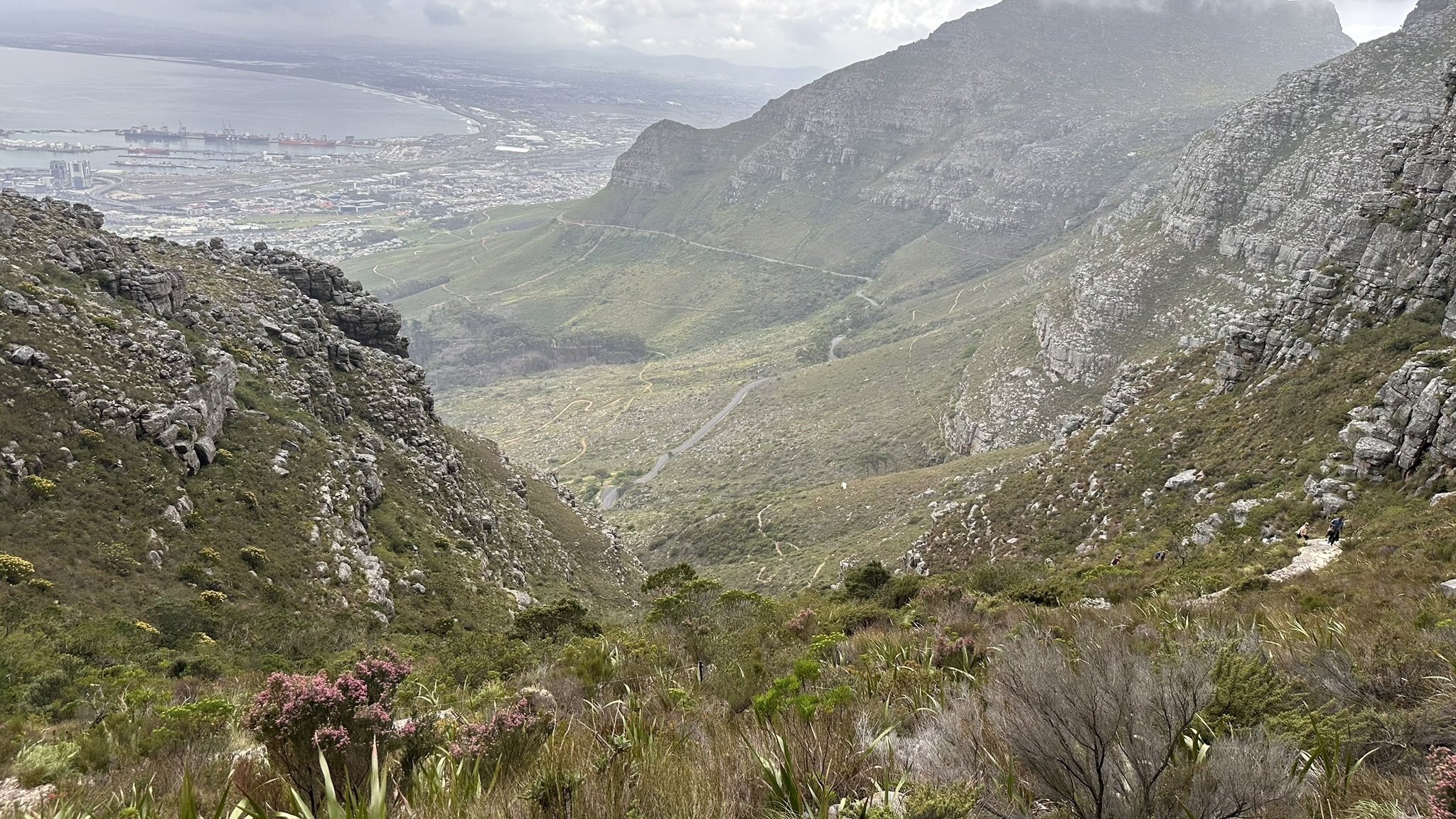 Table Mountain - wandeling 