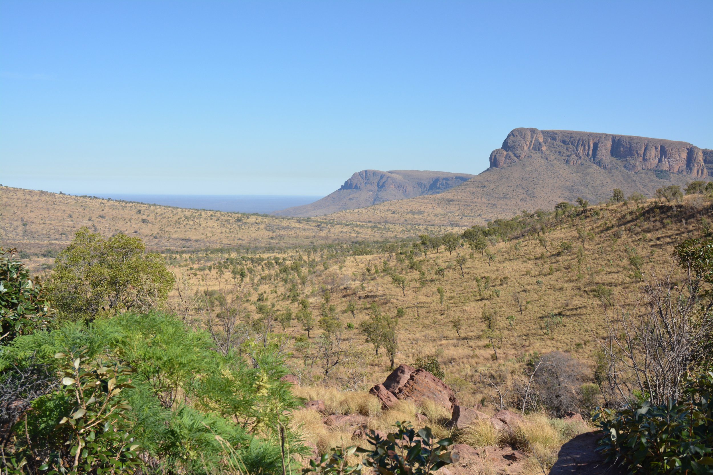 Marakele national park Zuid-Afrika (11).JPG