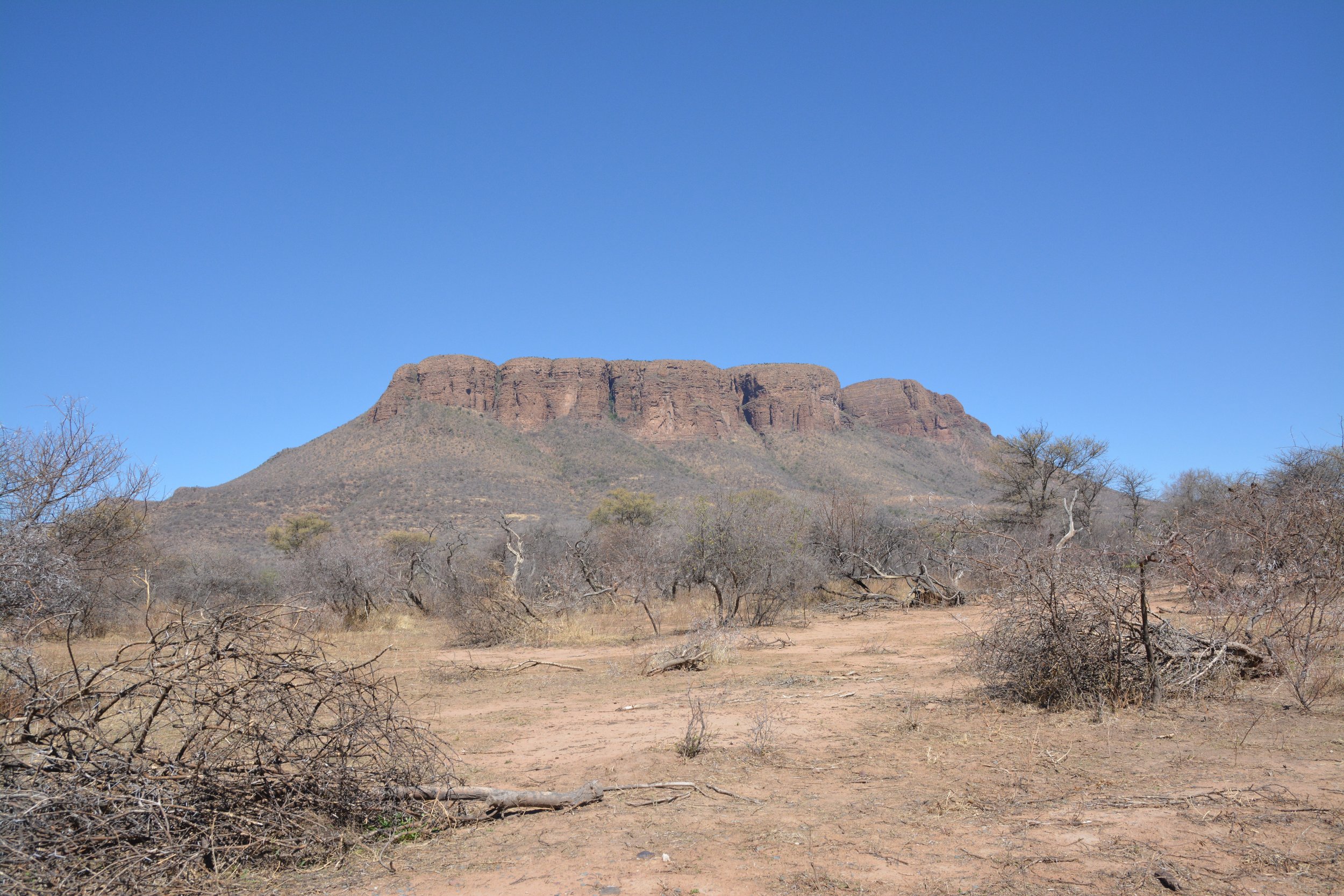 Marakele national park Zuid-Afrika (18).JPG