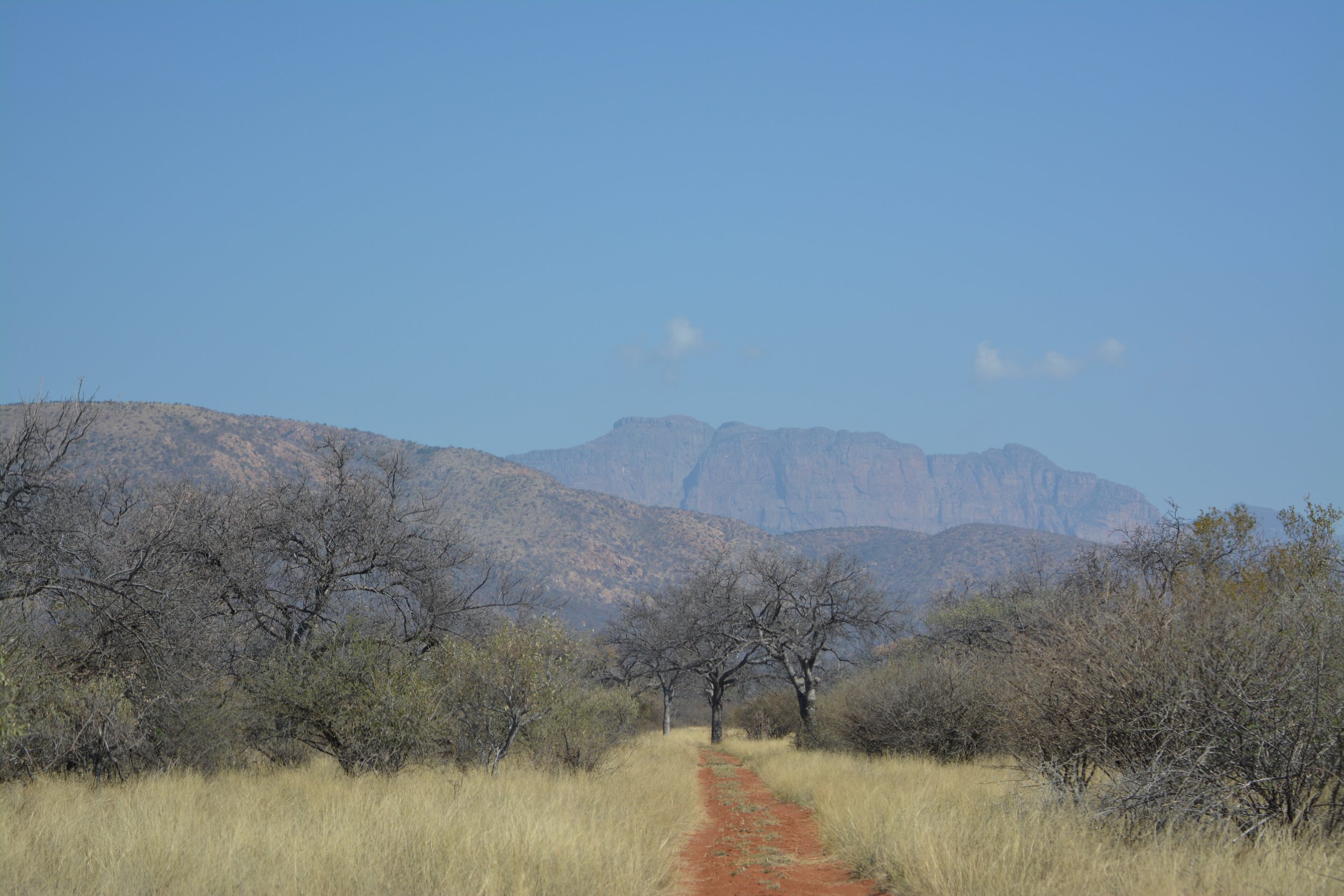 Blouberg nature reserve Limpopo Zuid-Afrika (11).jpeg